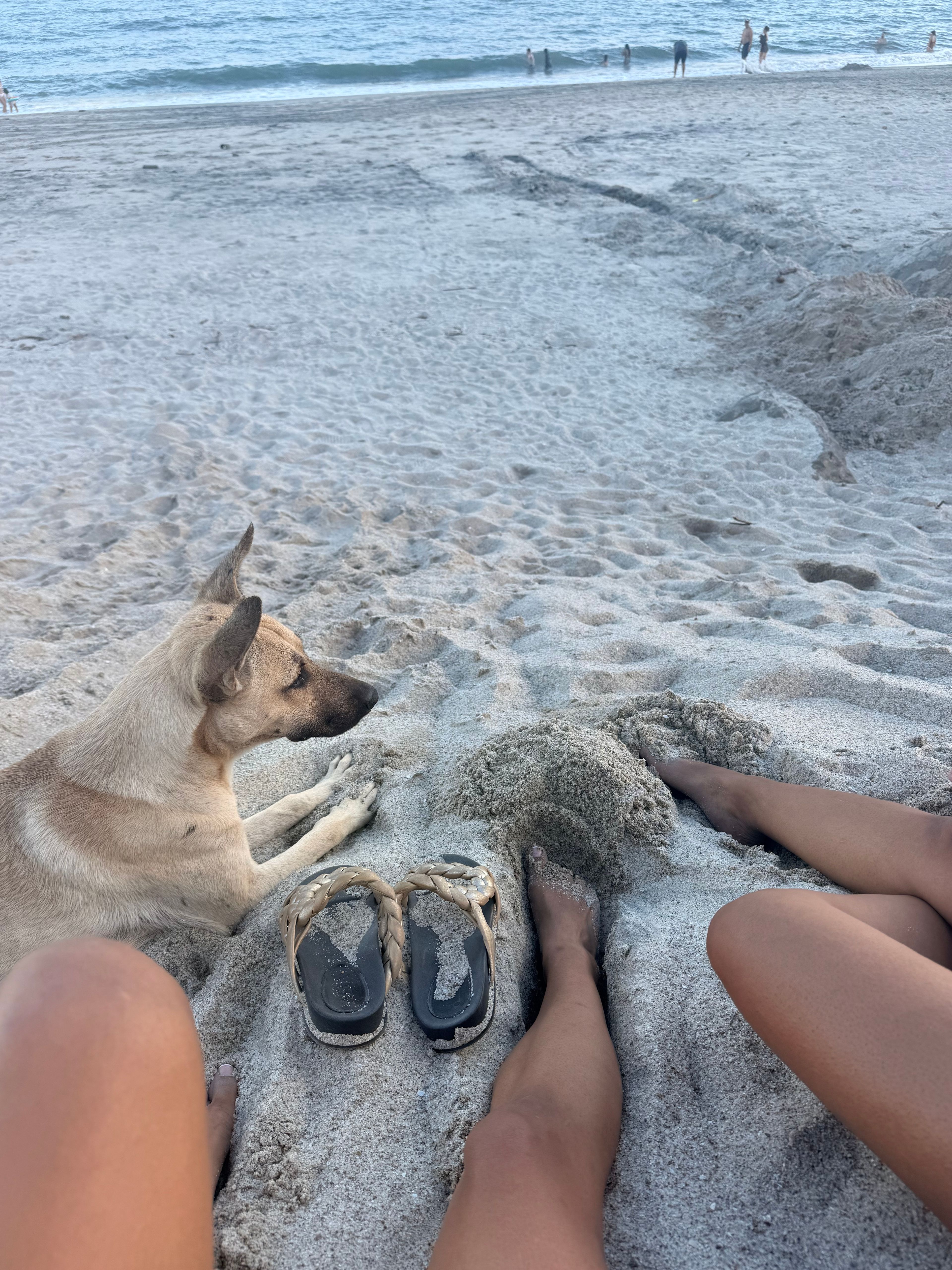 image-7
