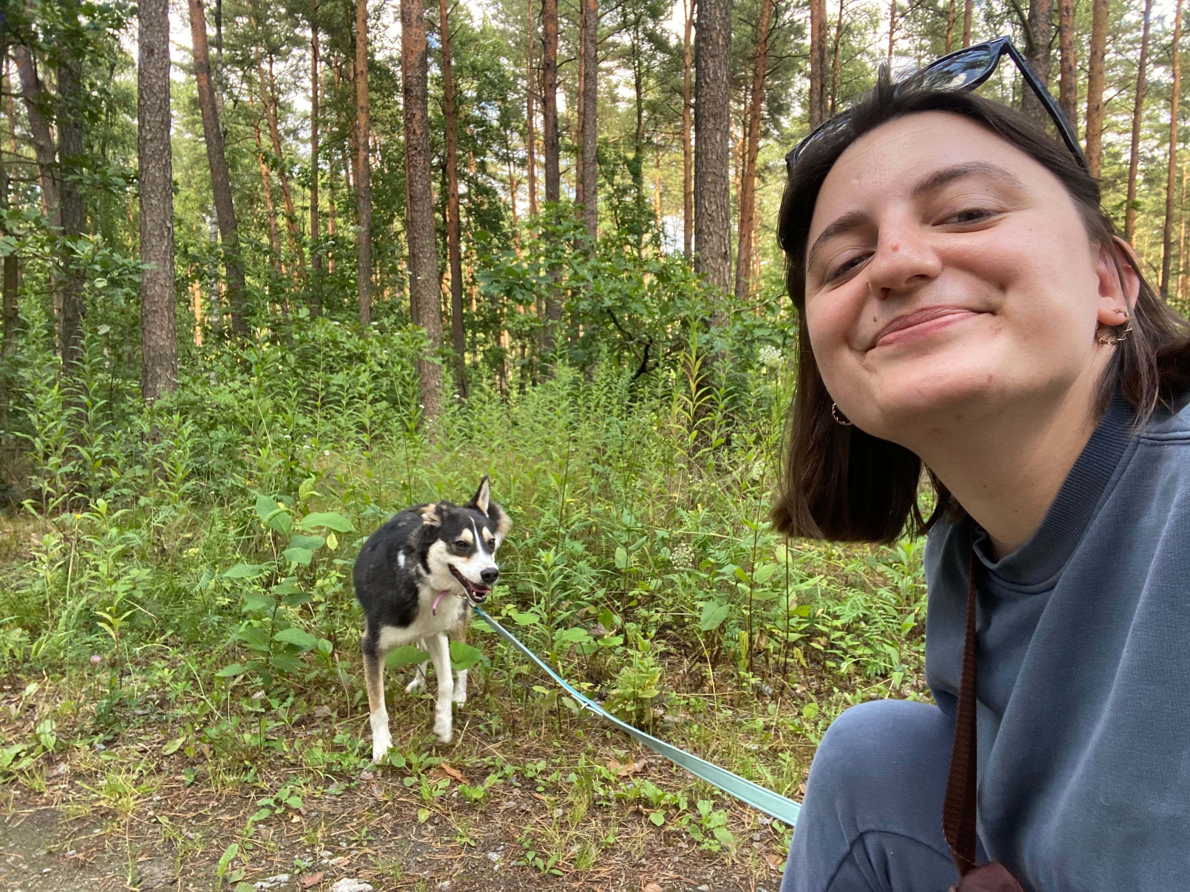 image-6