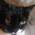 Tina