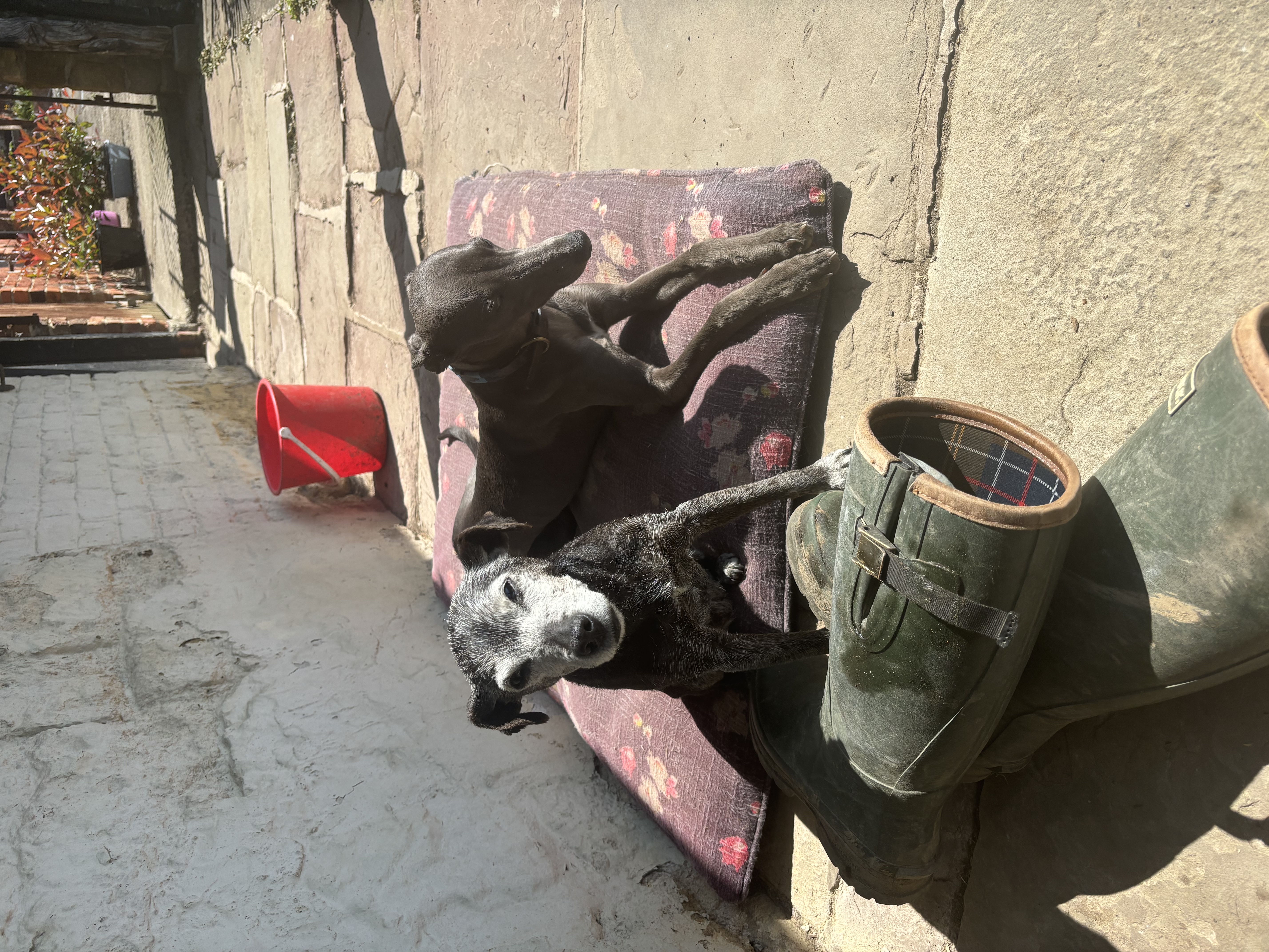 image-3