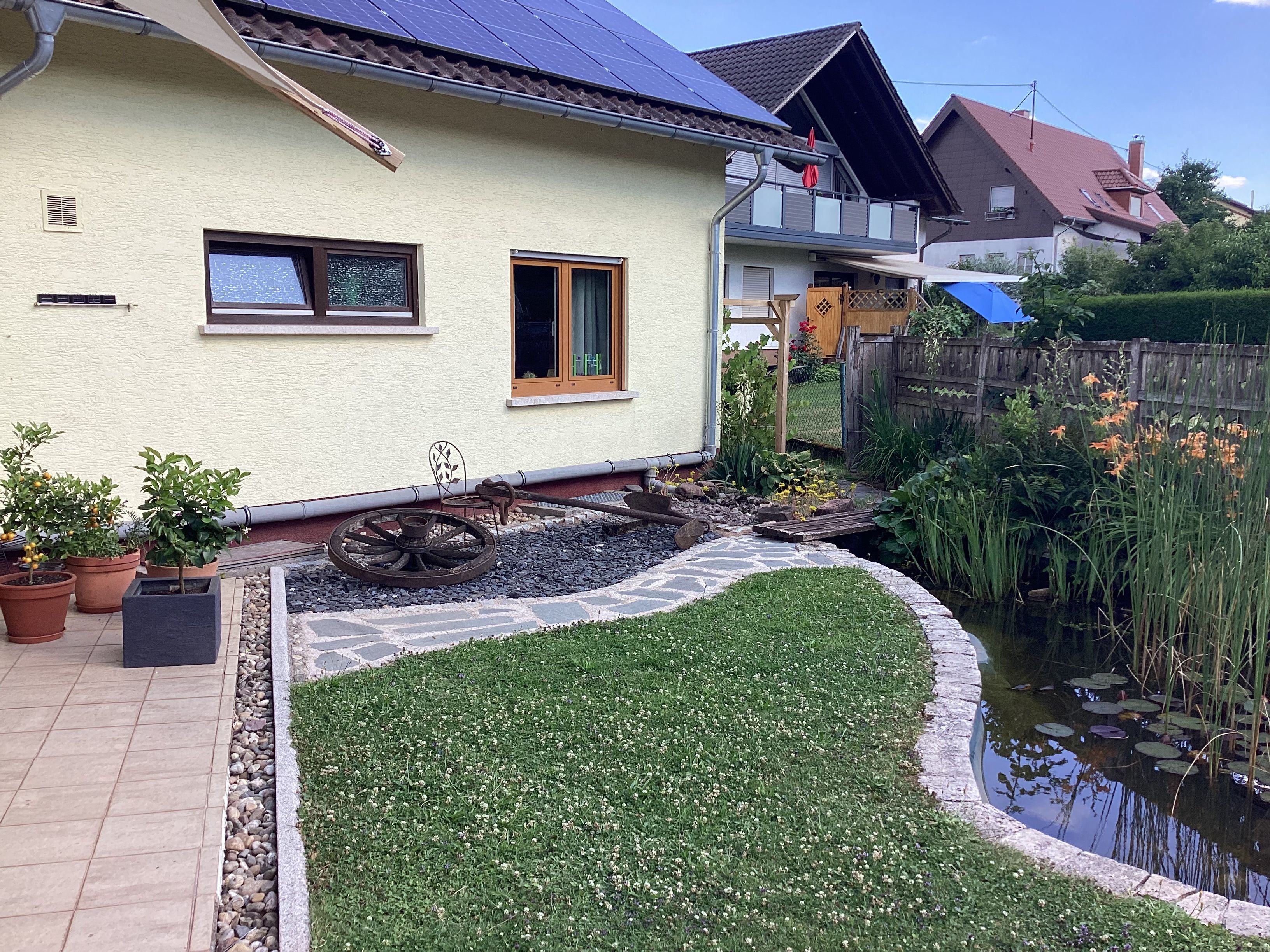 image-20