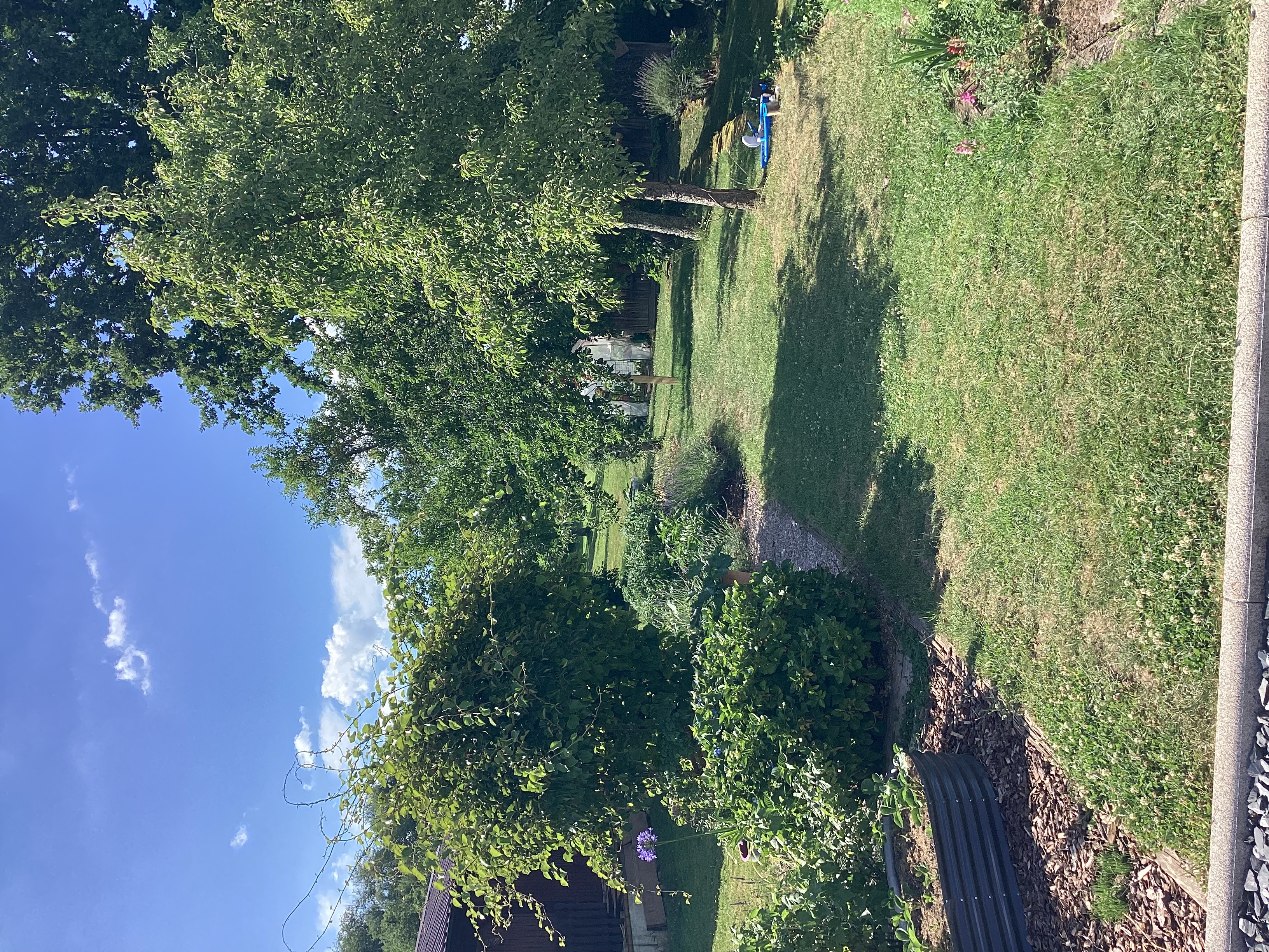 image-14
