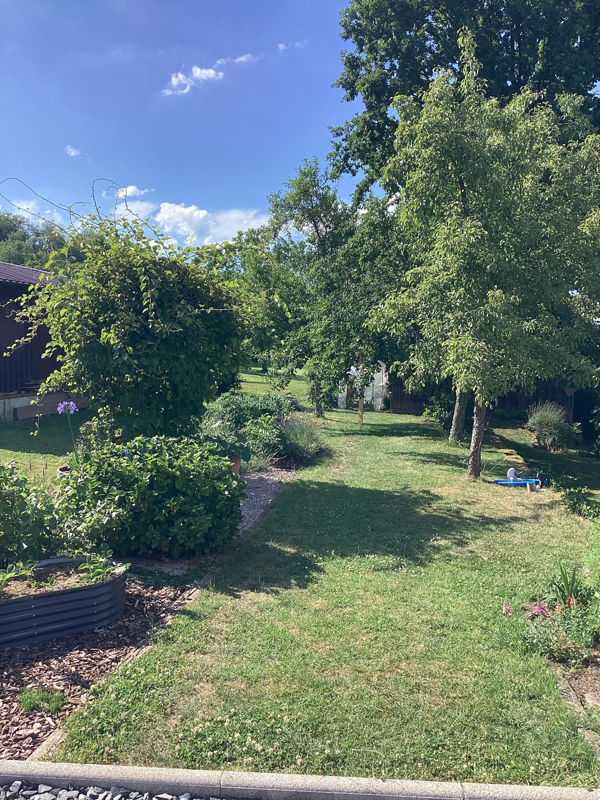 image-14