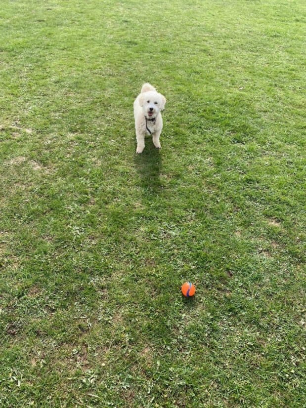 image-6