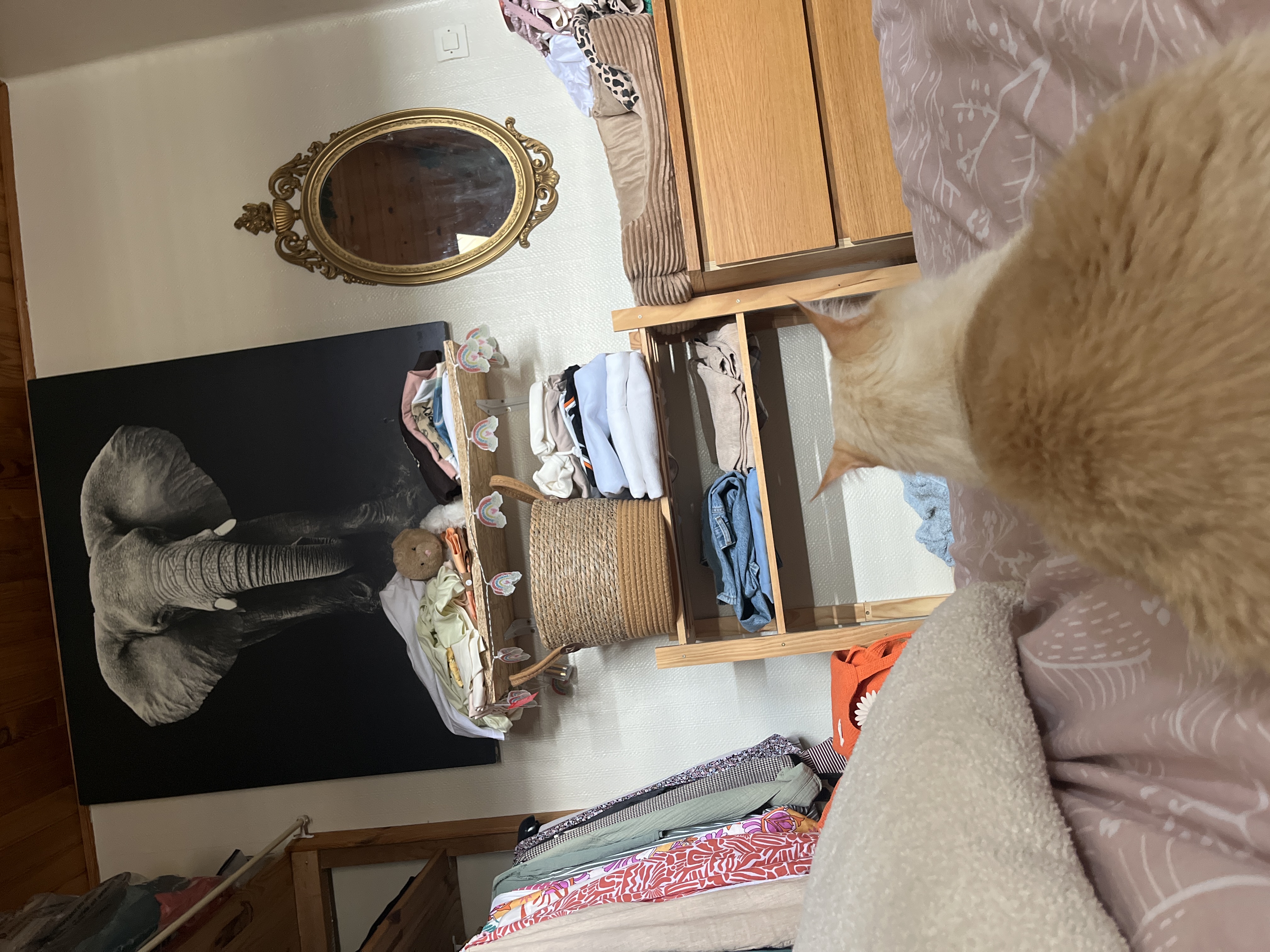 image-15