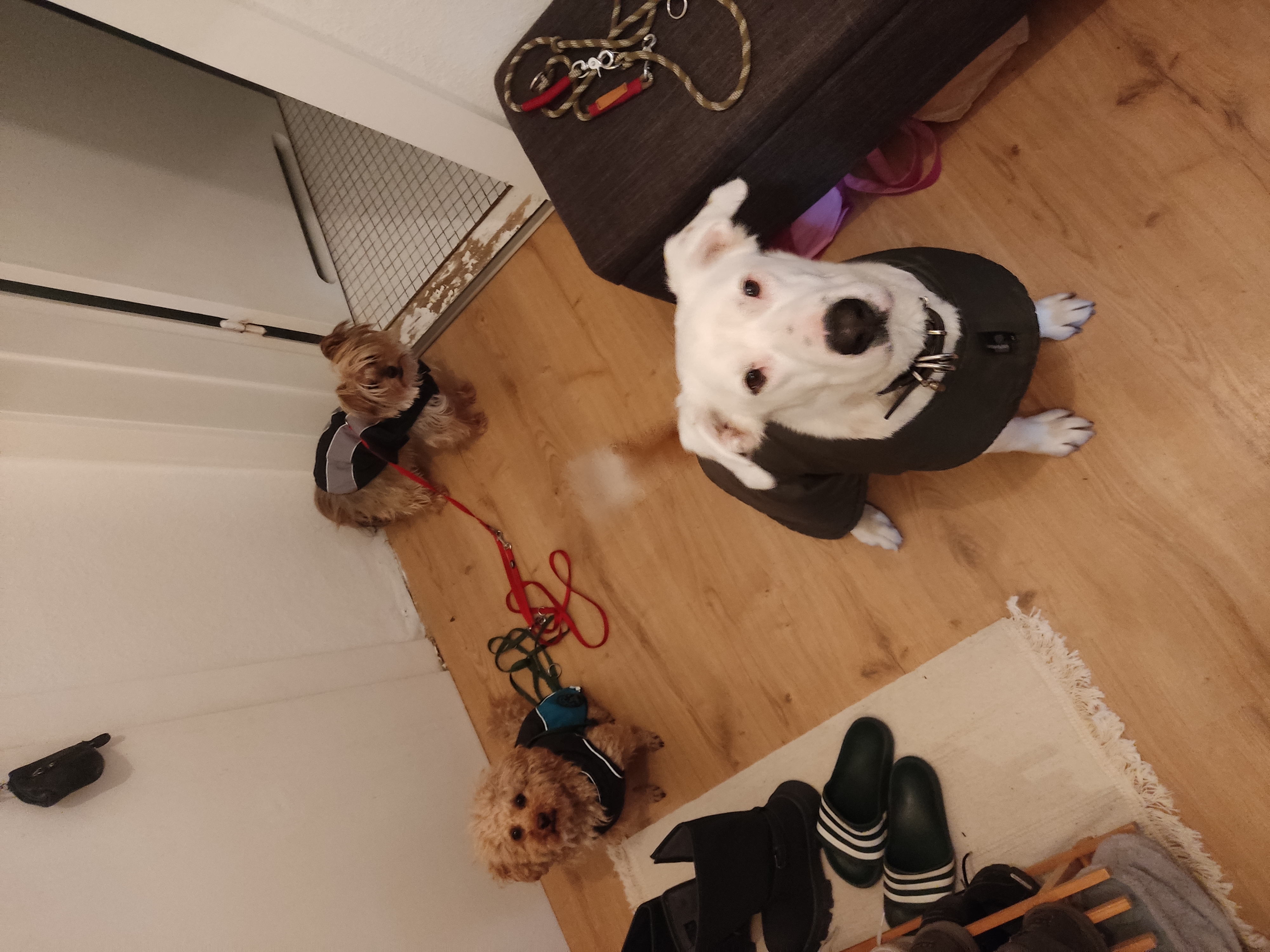 image-4
