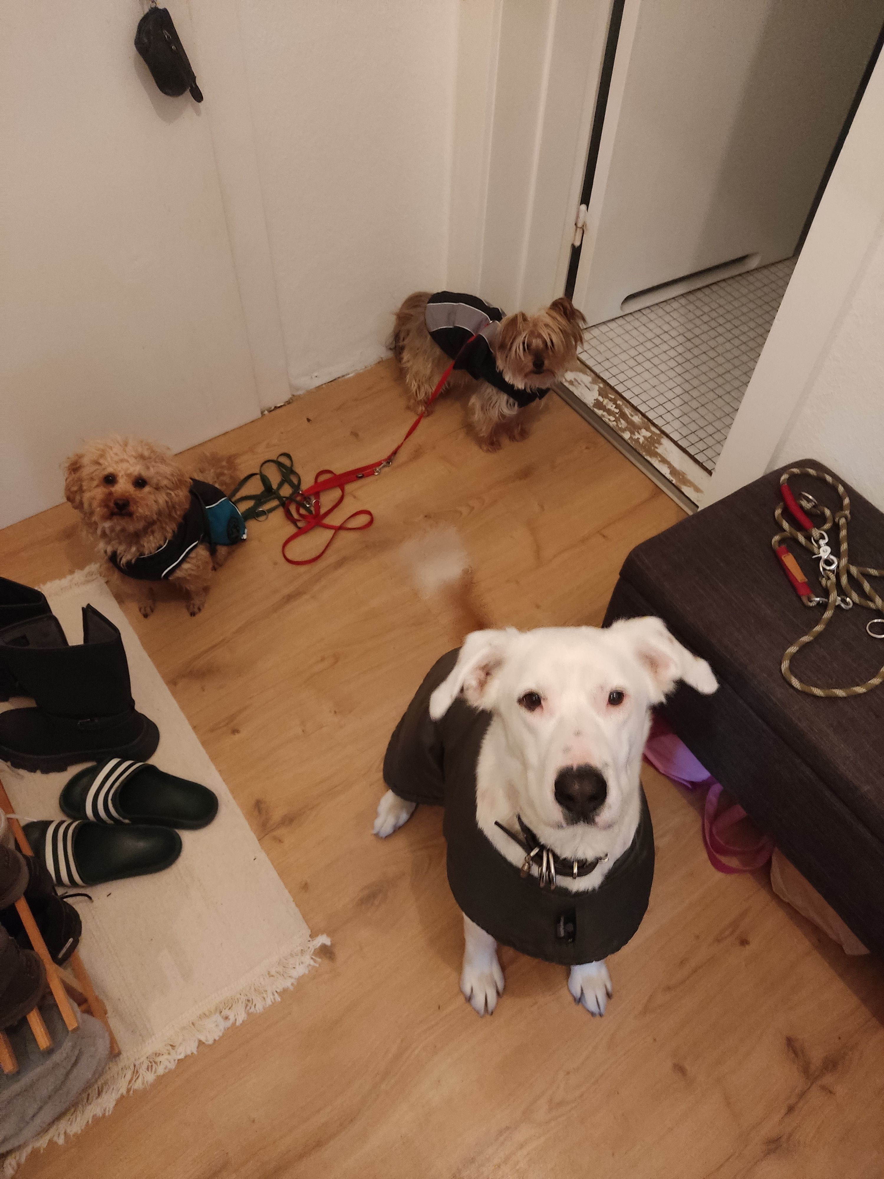image-4