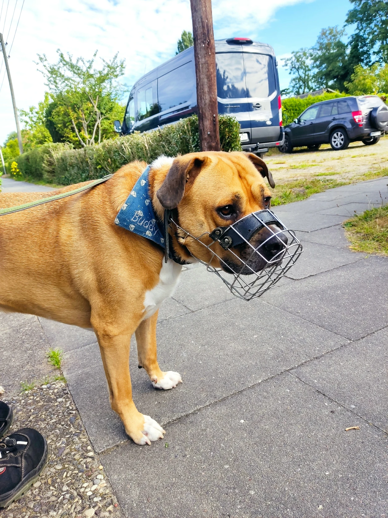 image-8