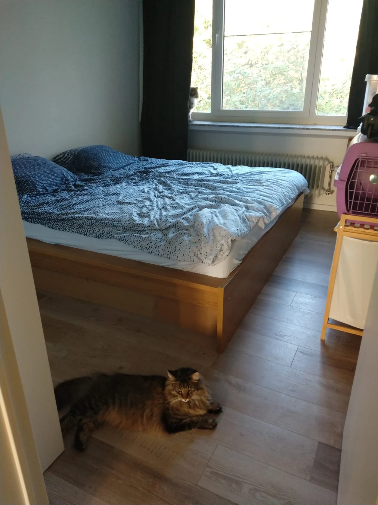 image-20
