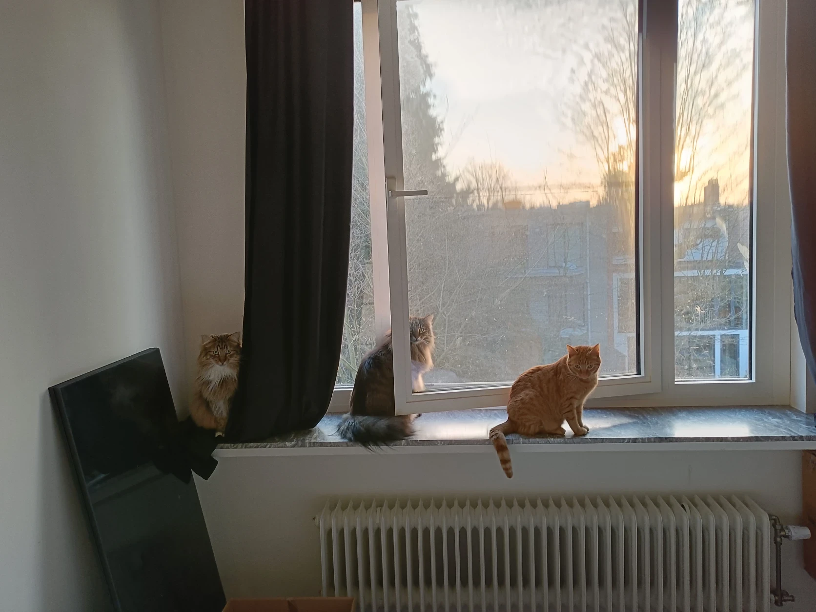 image-19