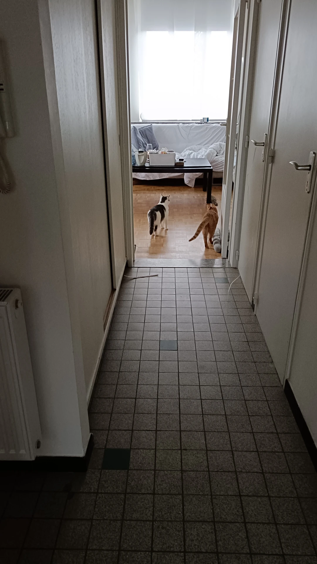 image-18