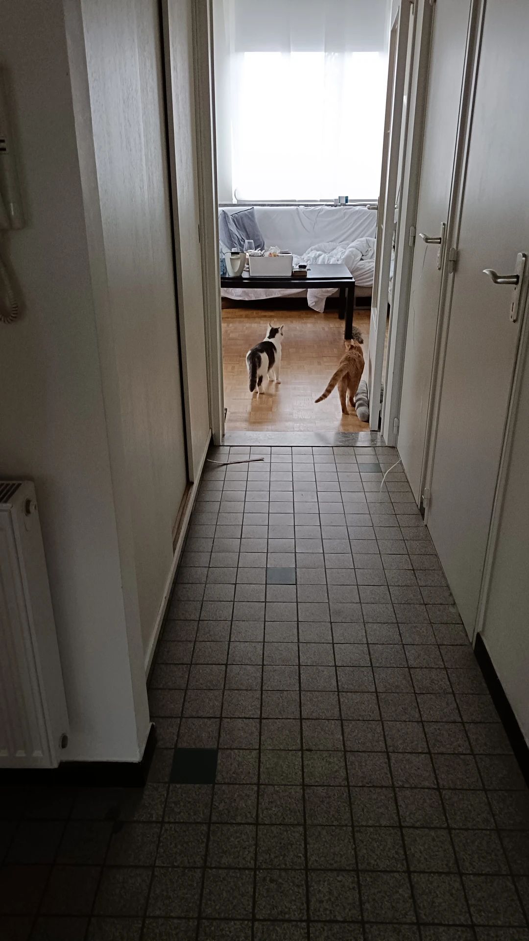 image-18