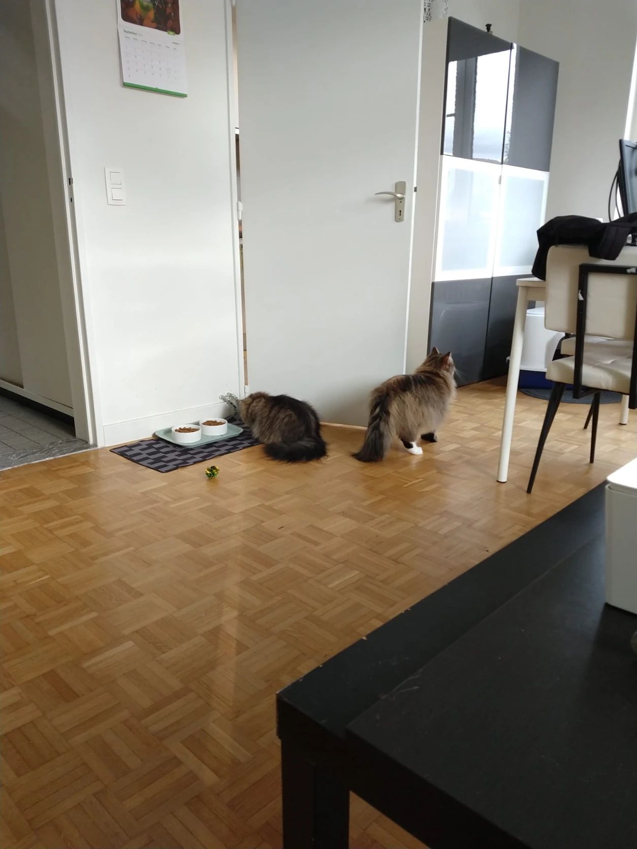 image-17