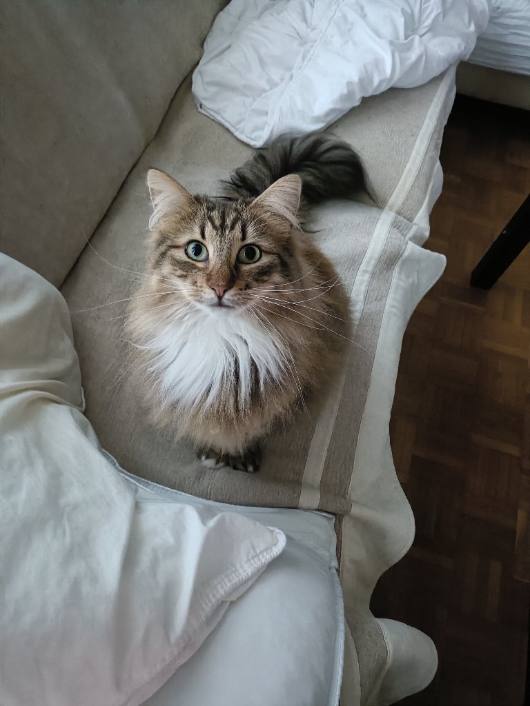 Max