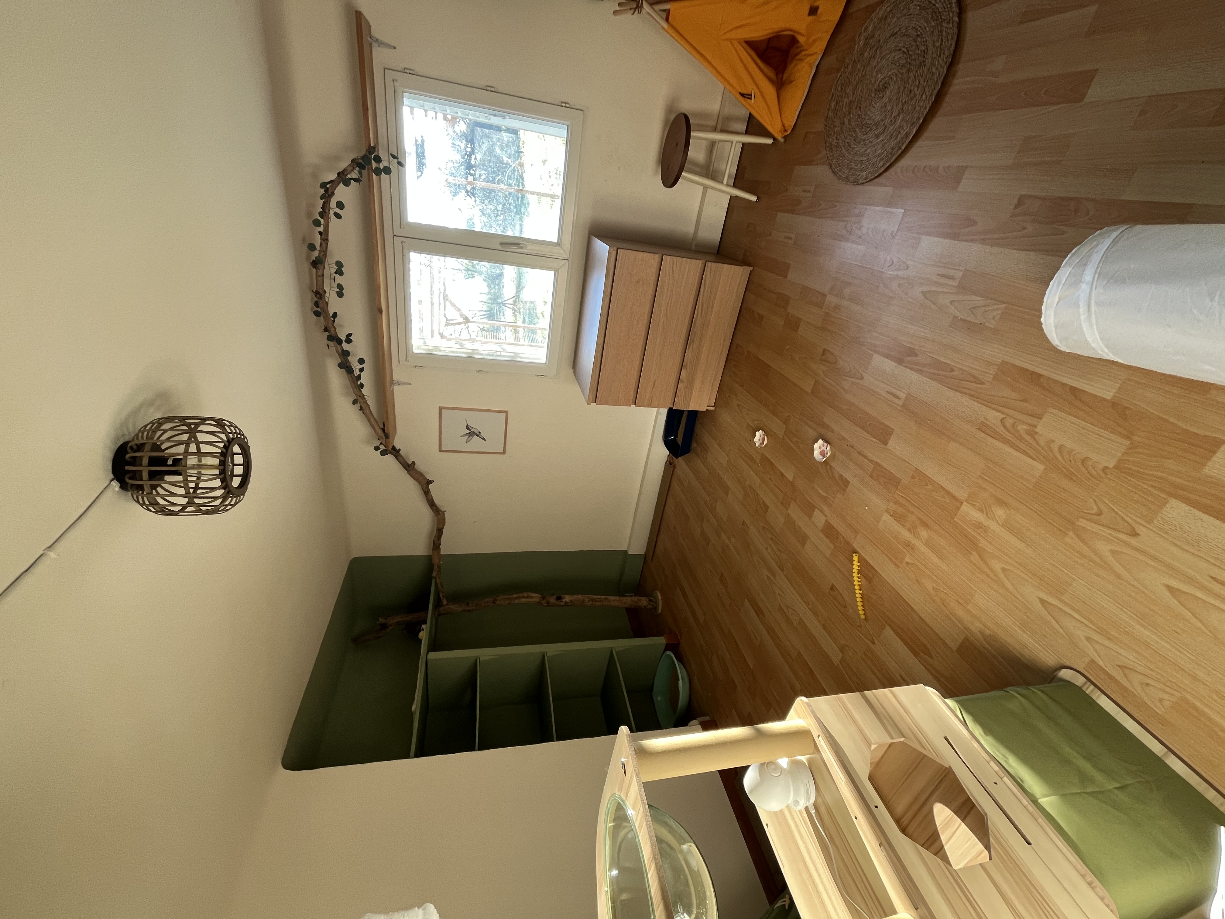 image-15