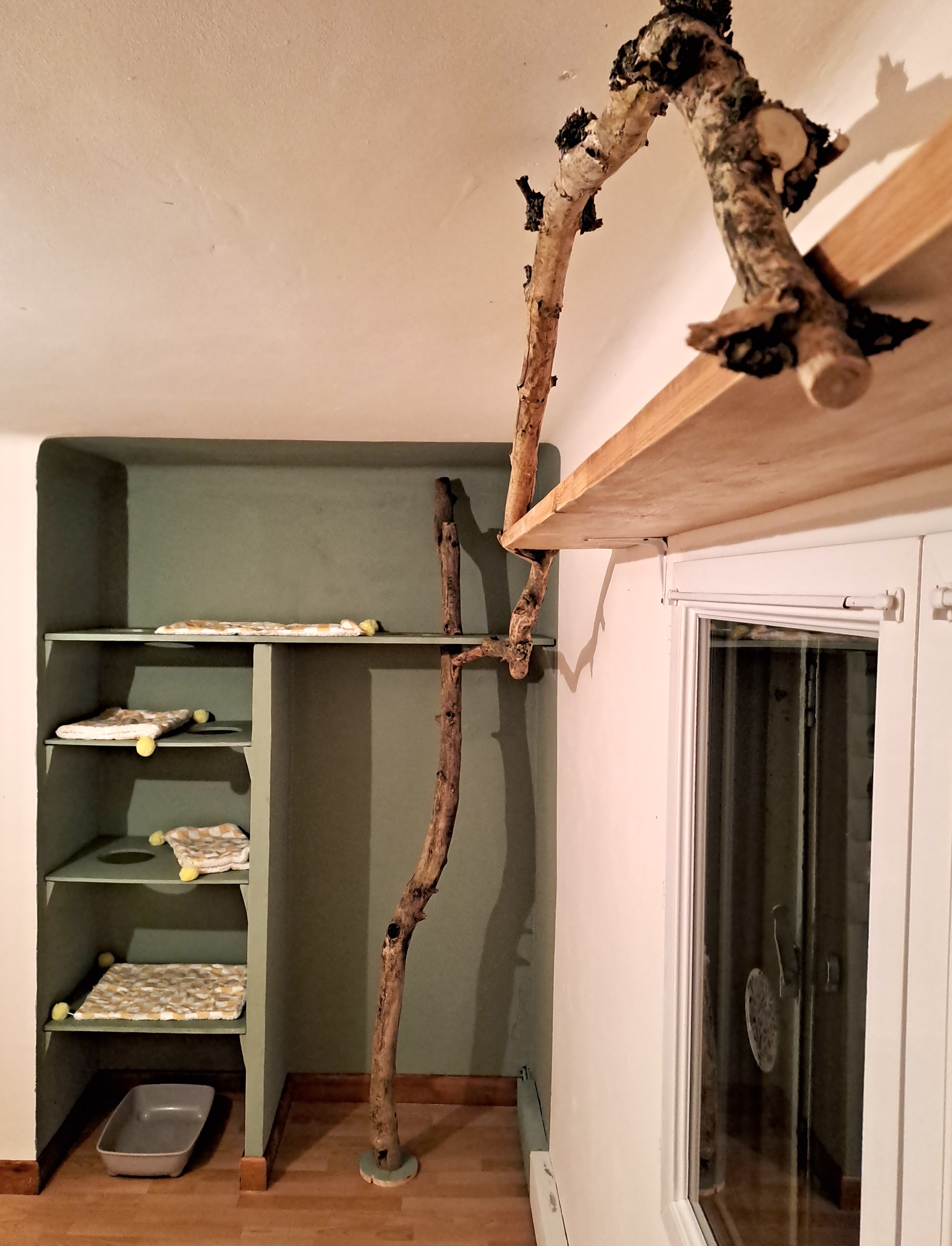 image-13