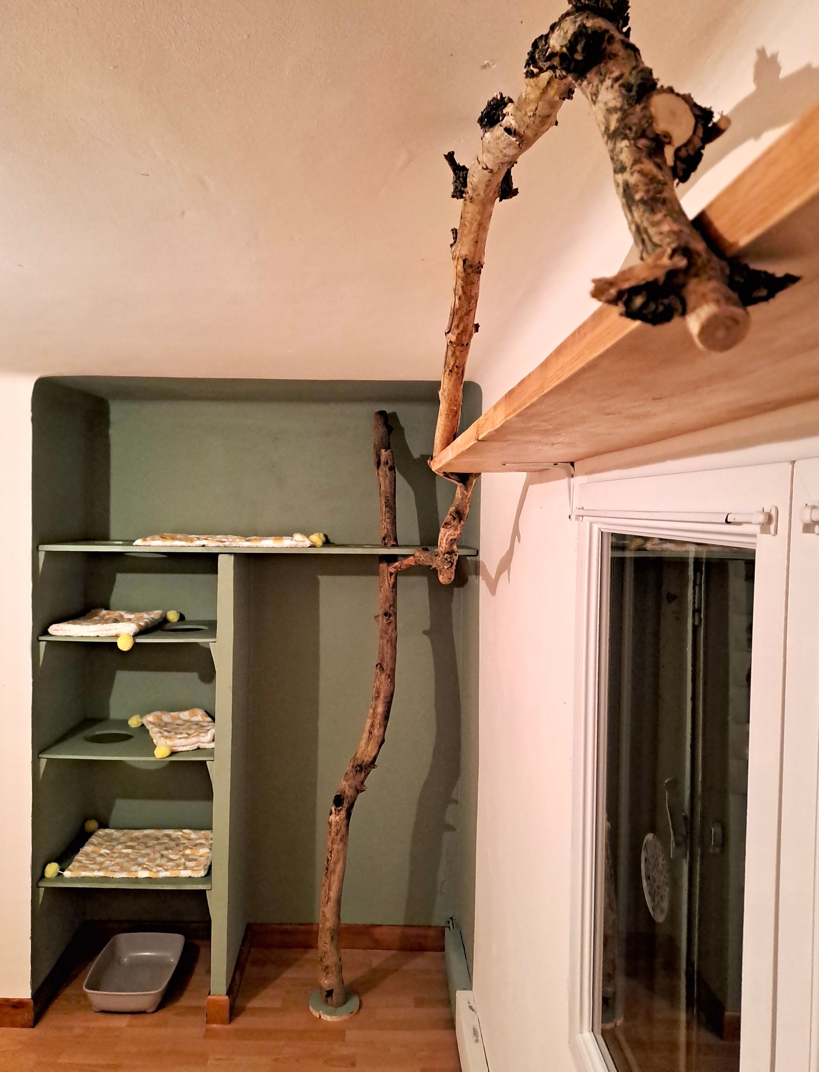 image-13