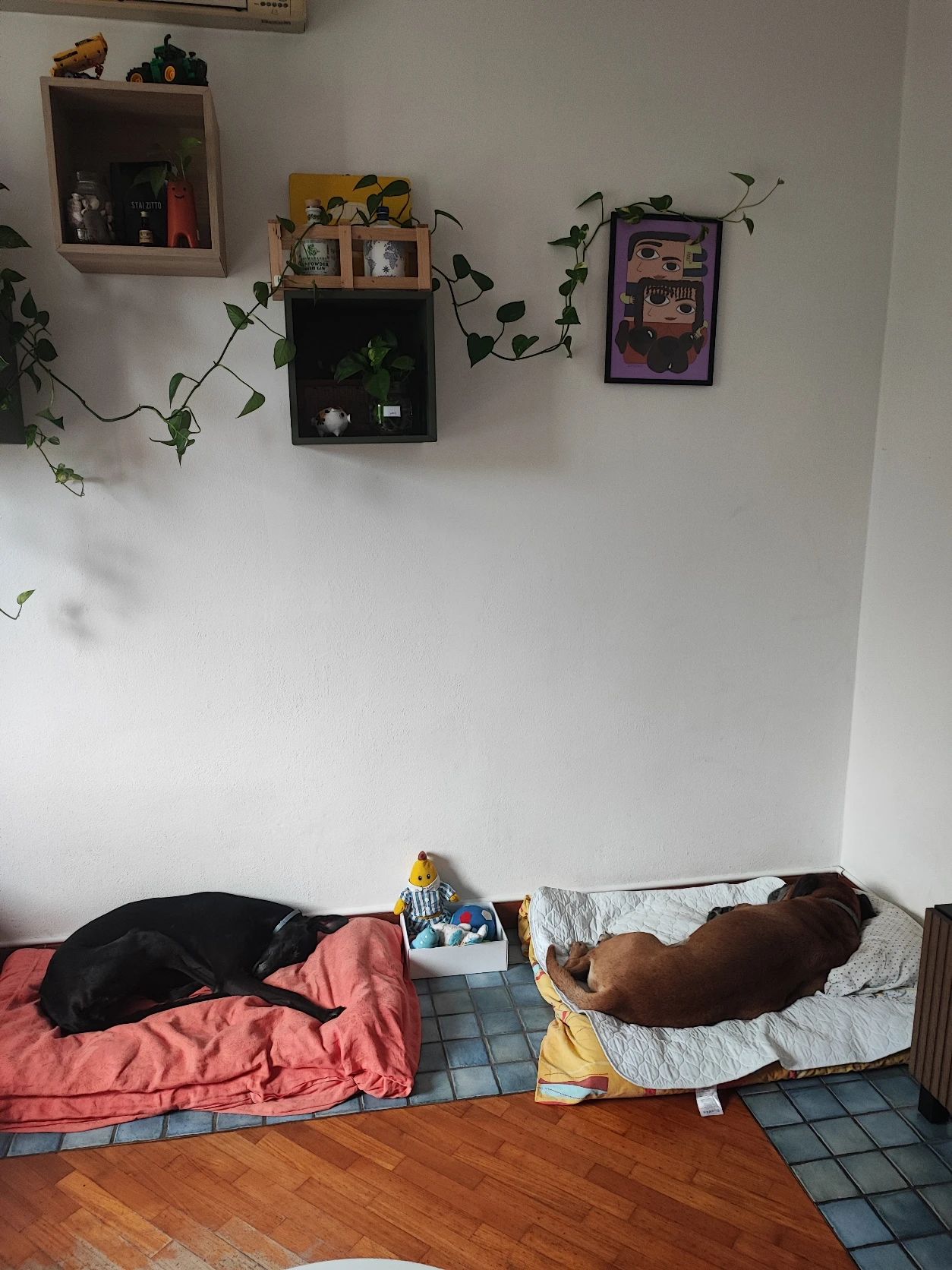 image-18