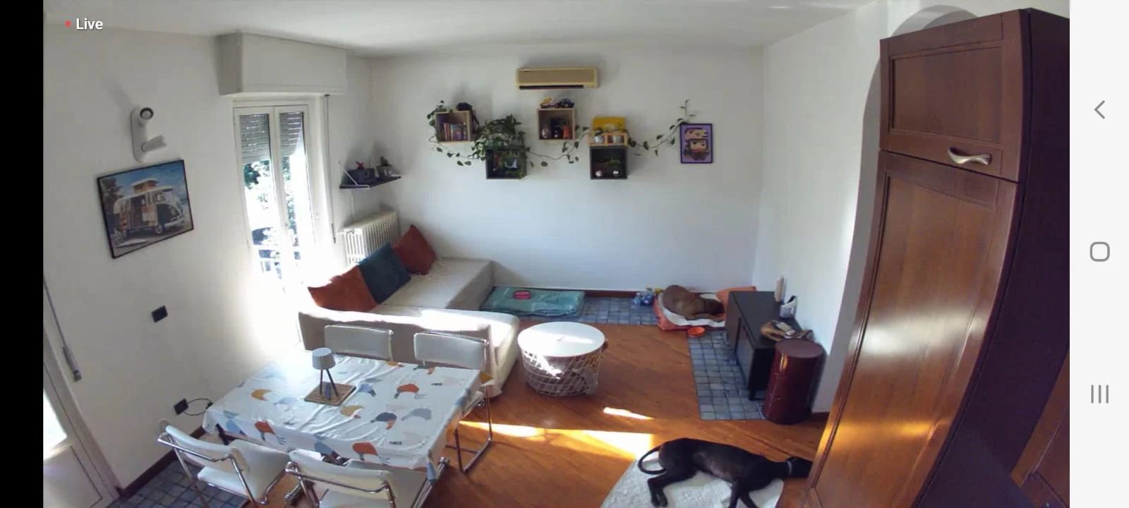 image-19