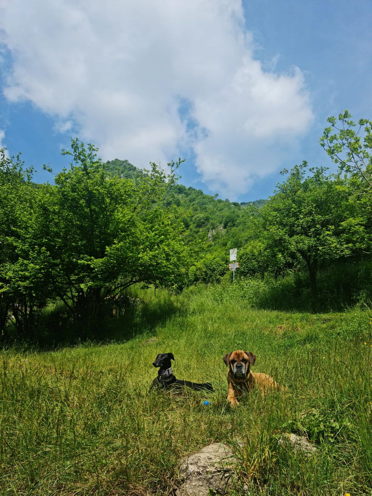 image-10
