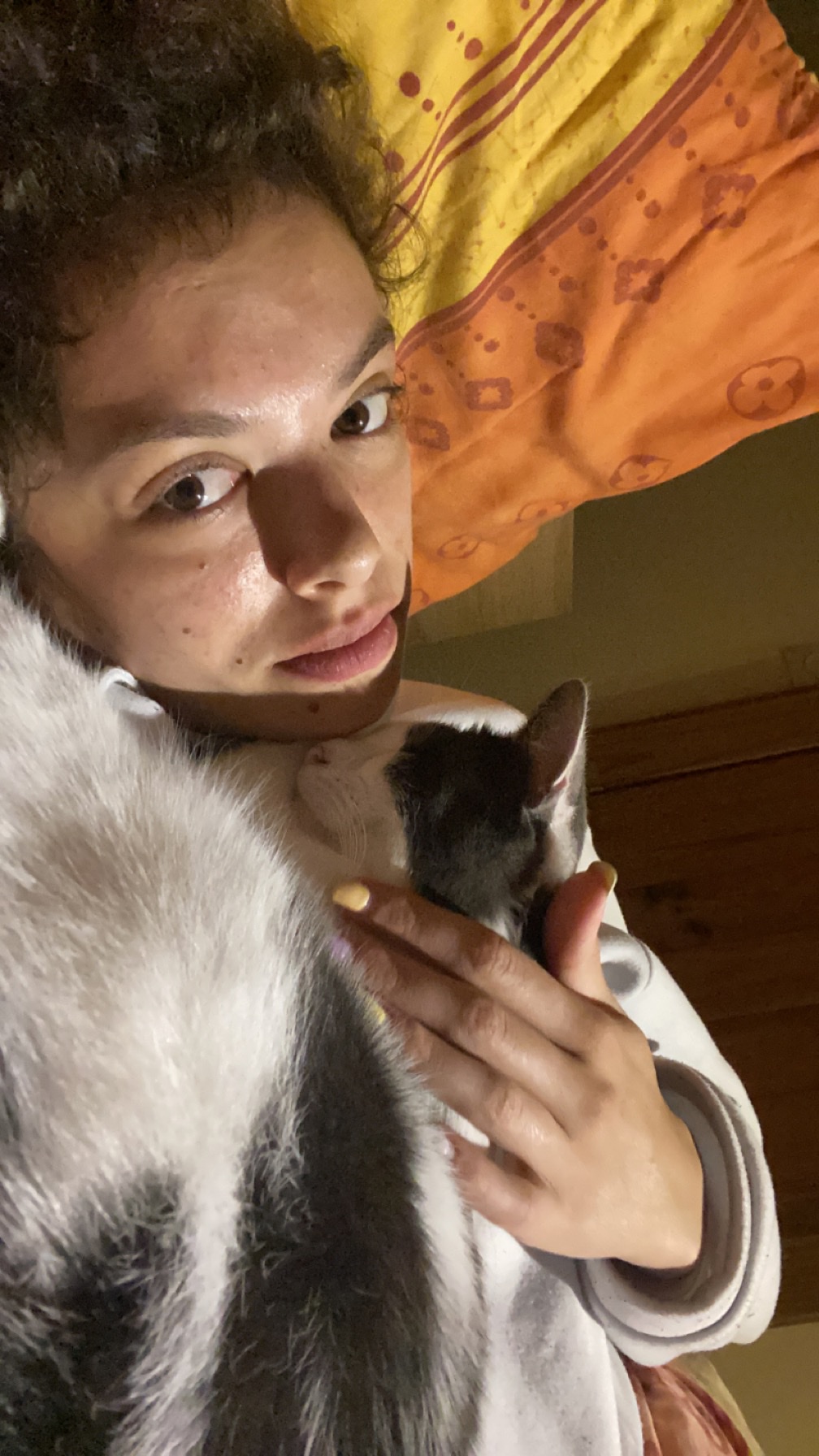 image-7