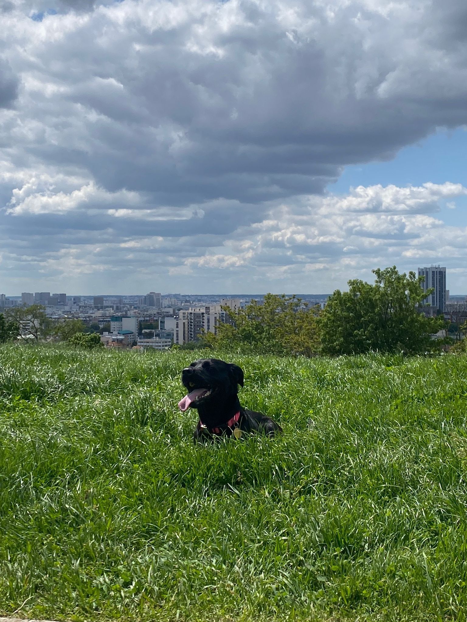 image-7