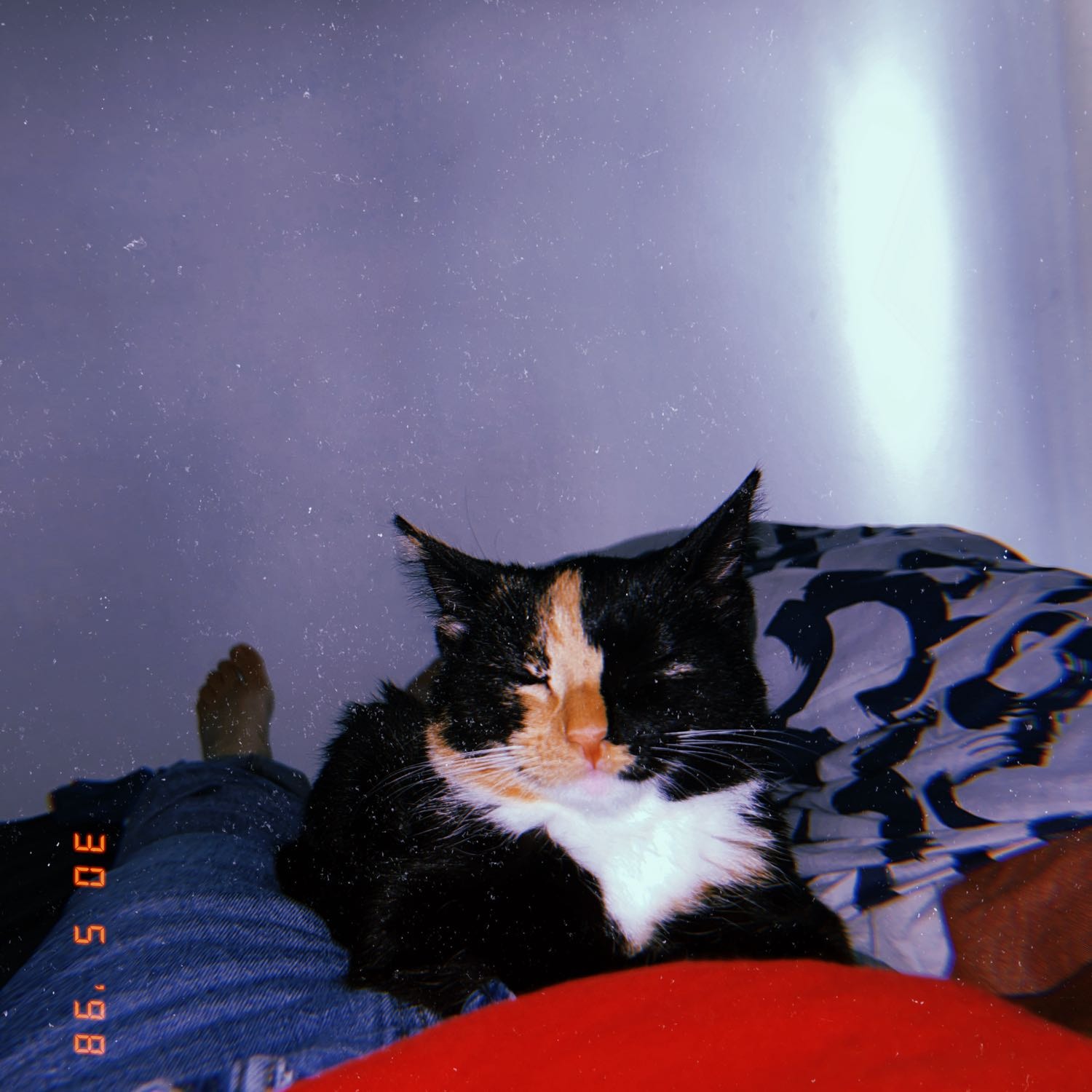 poes 