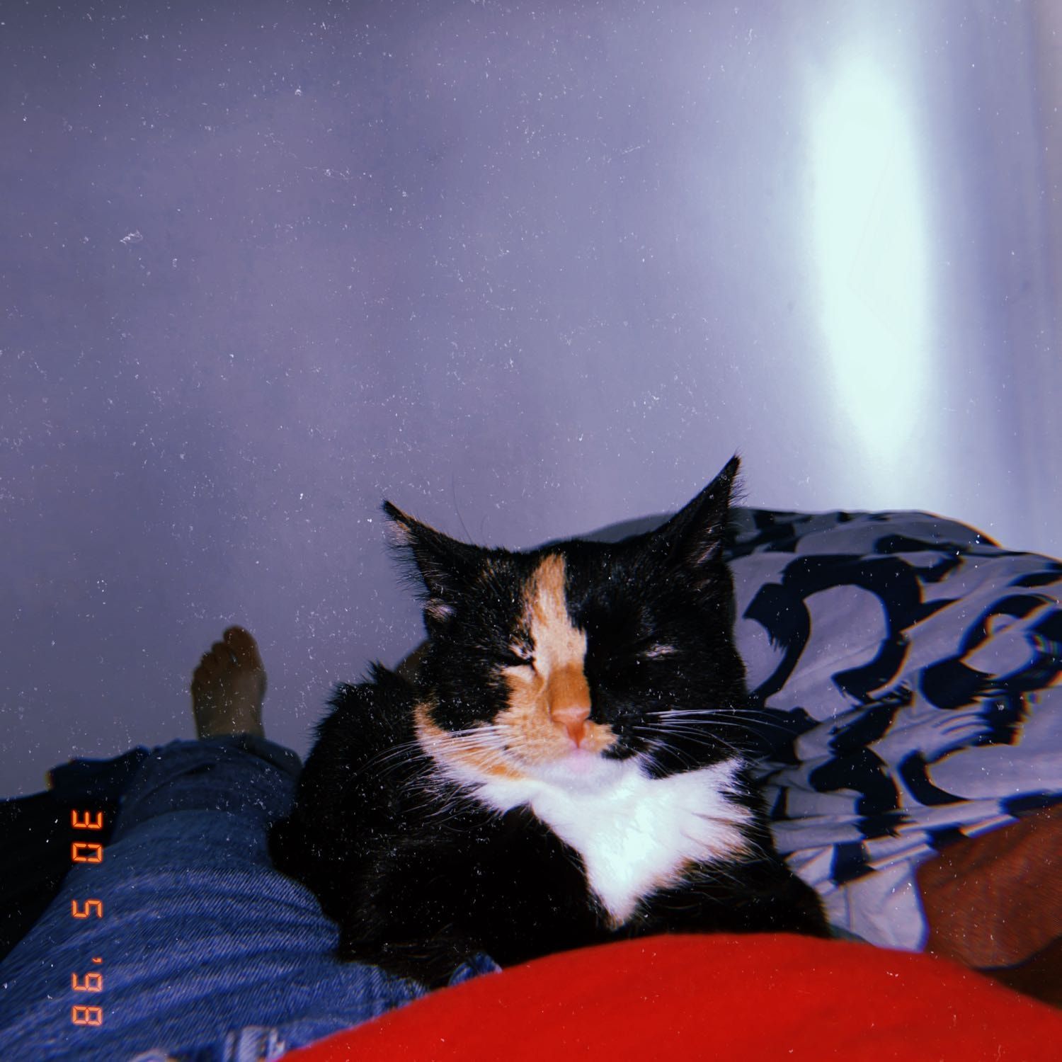 poes