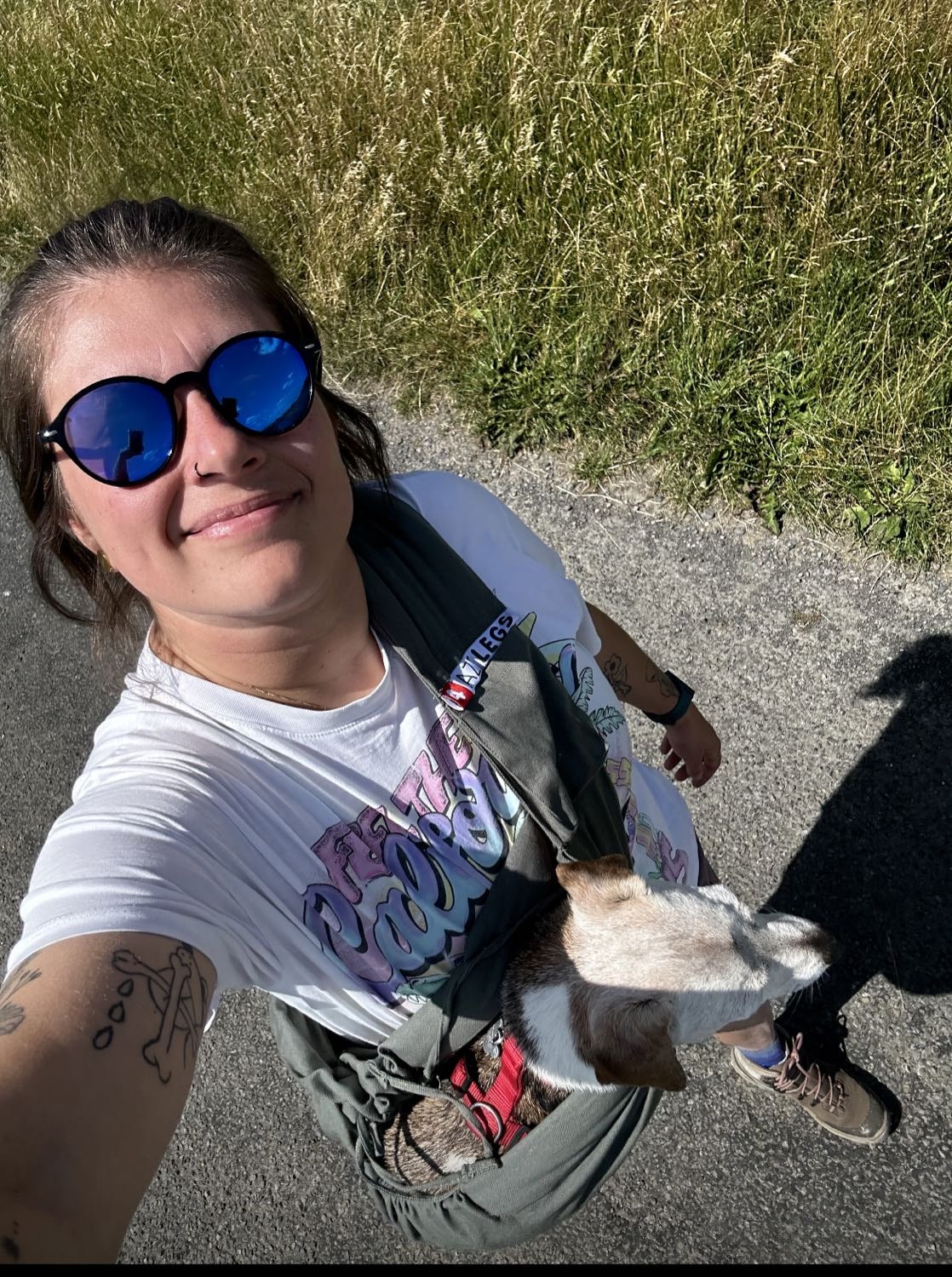 image-6