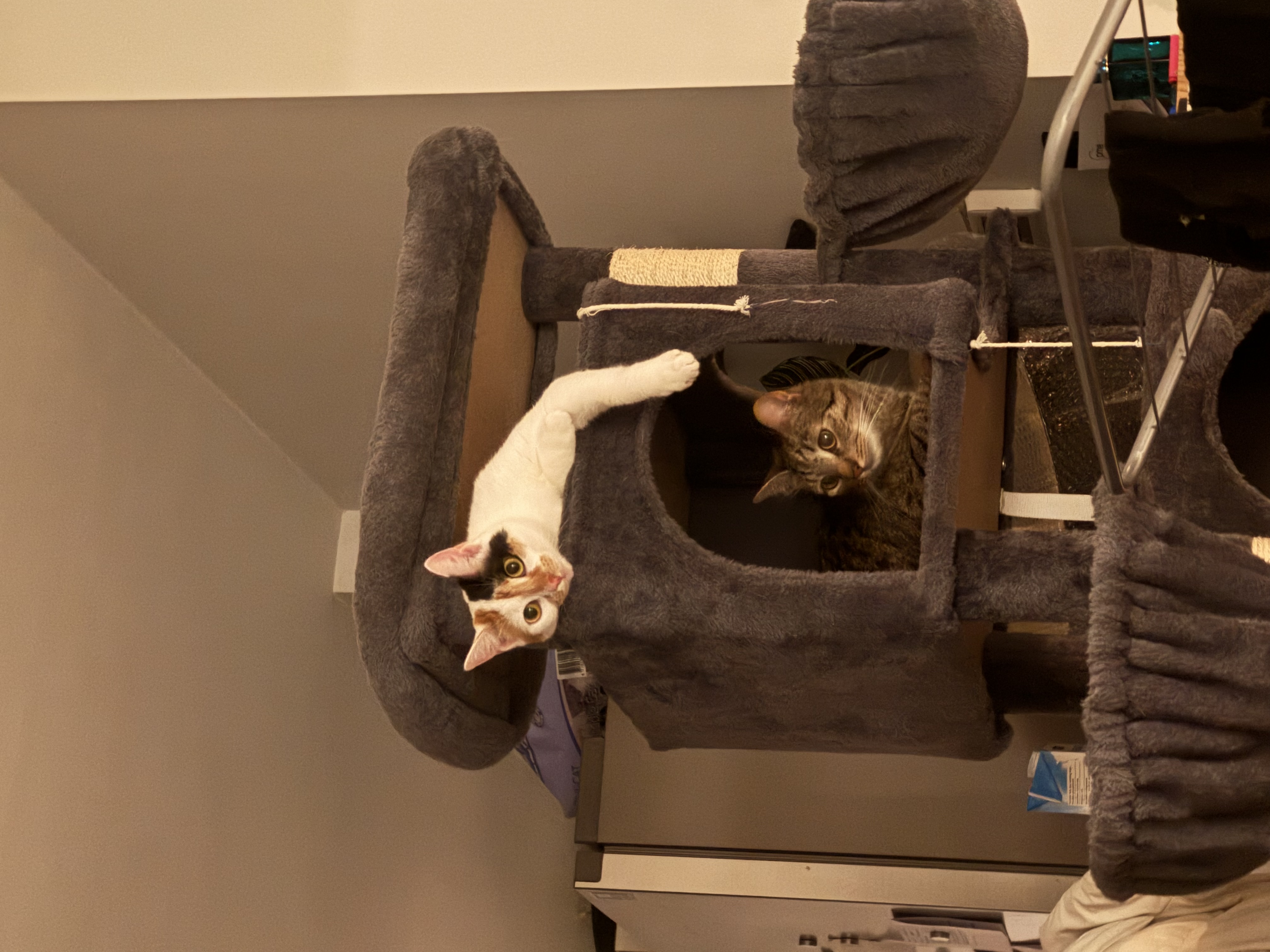 image-11
