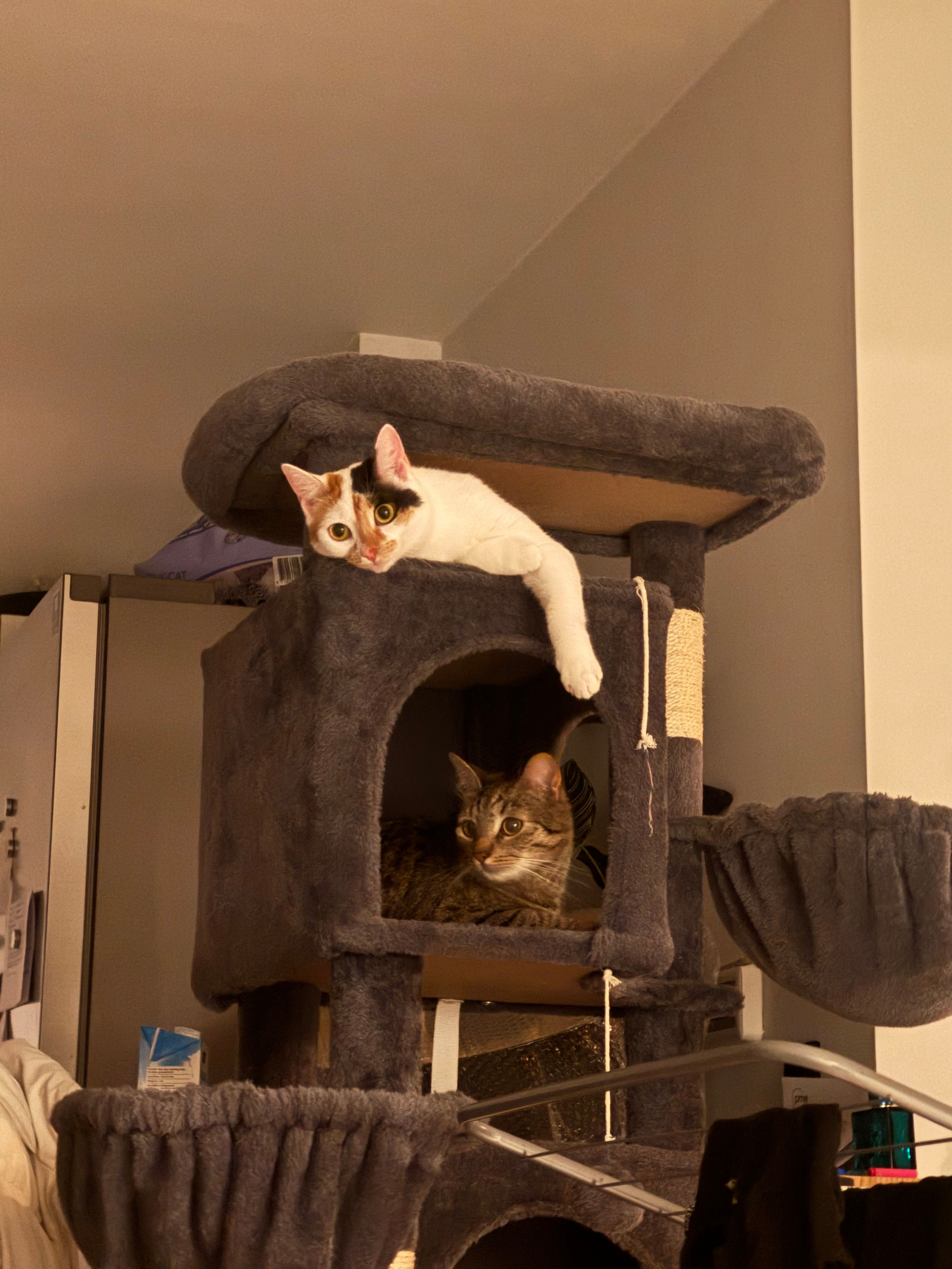 image-11