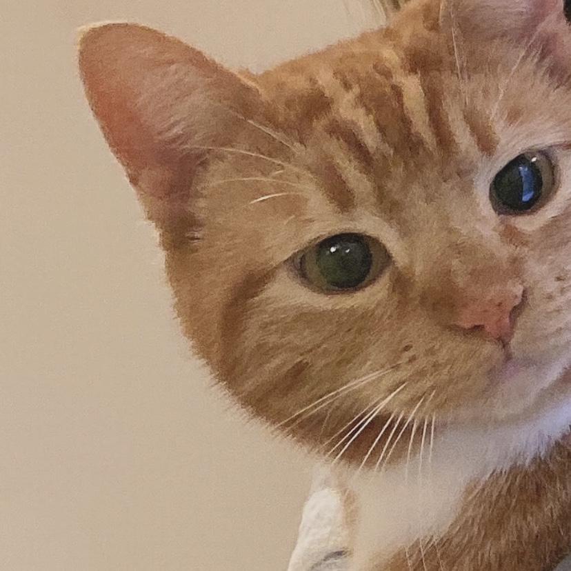 Milo