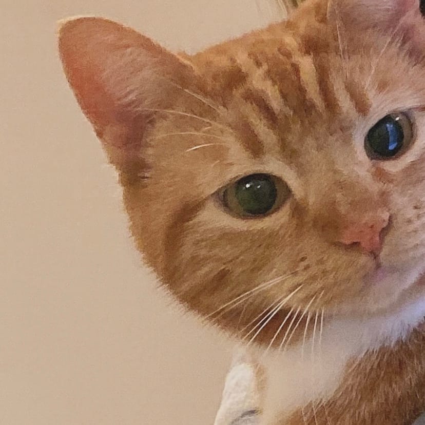 Milo