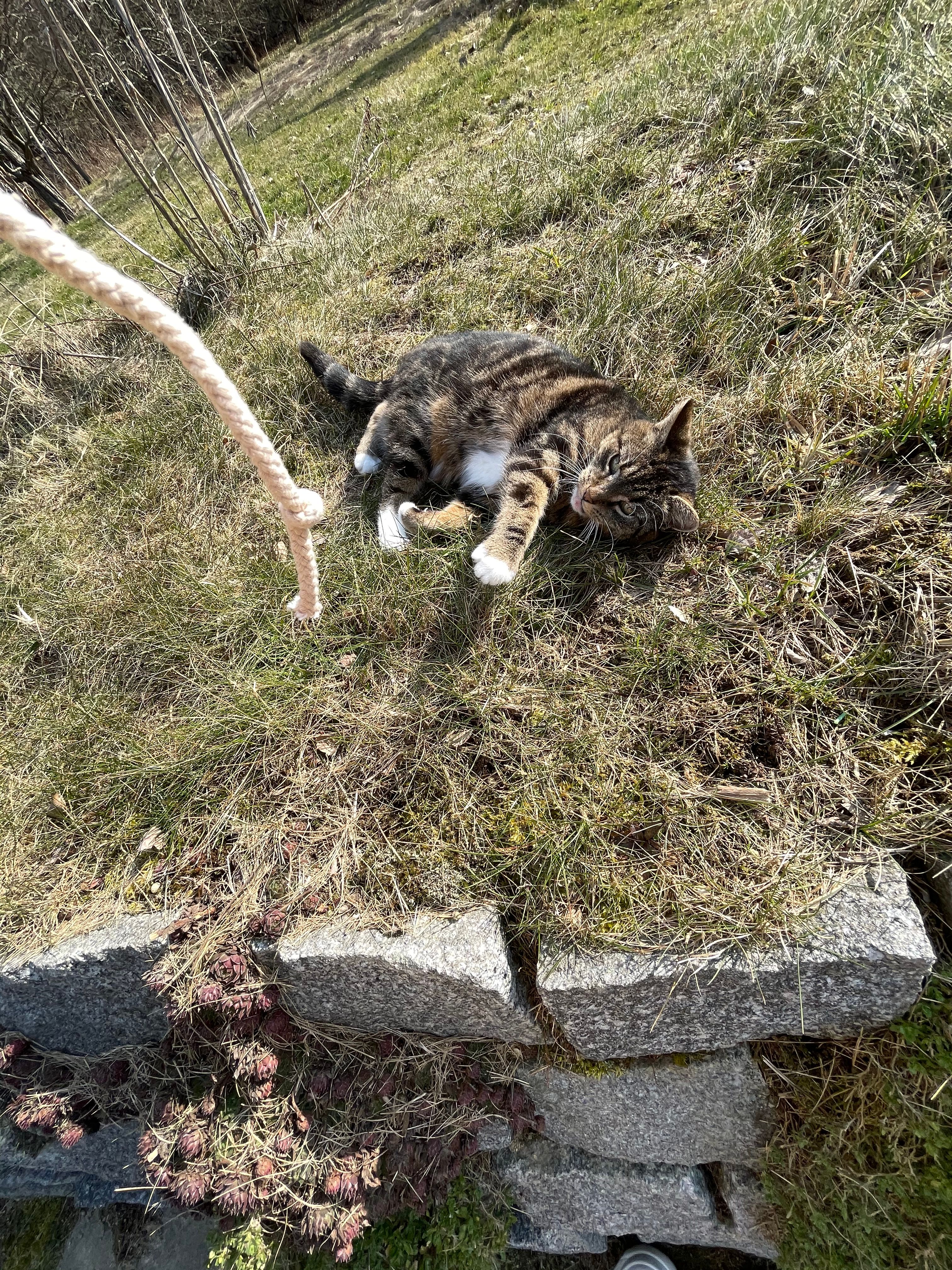 image-8