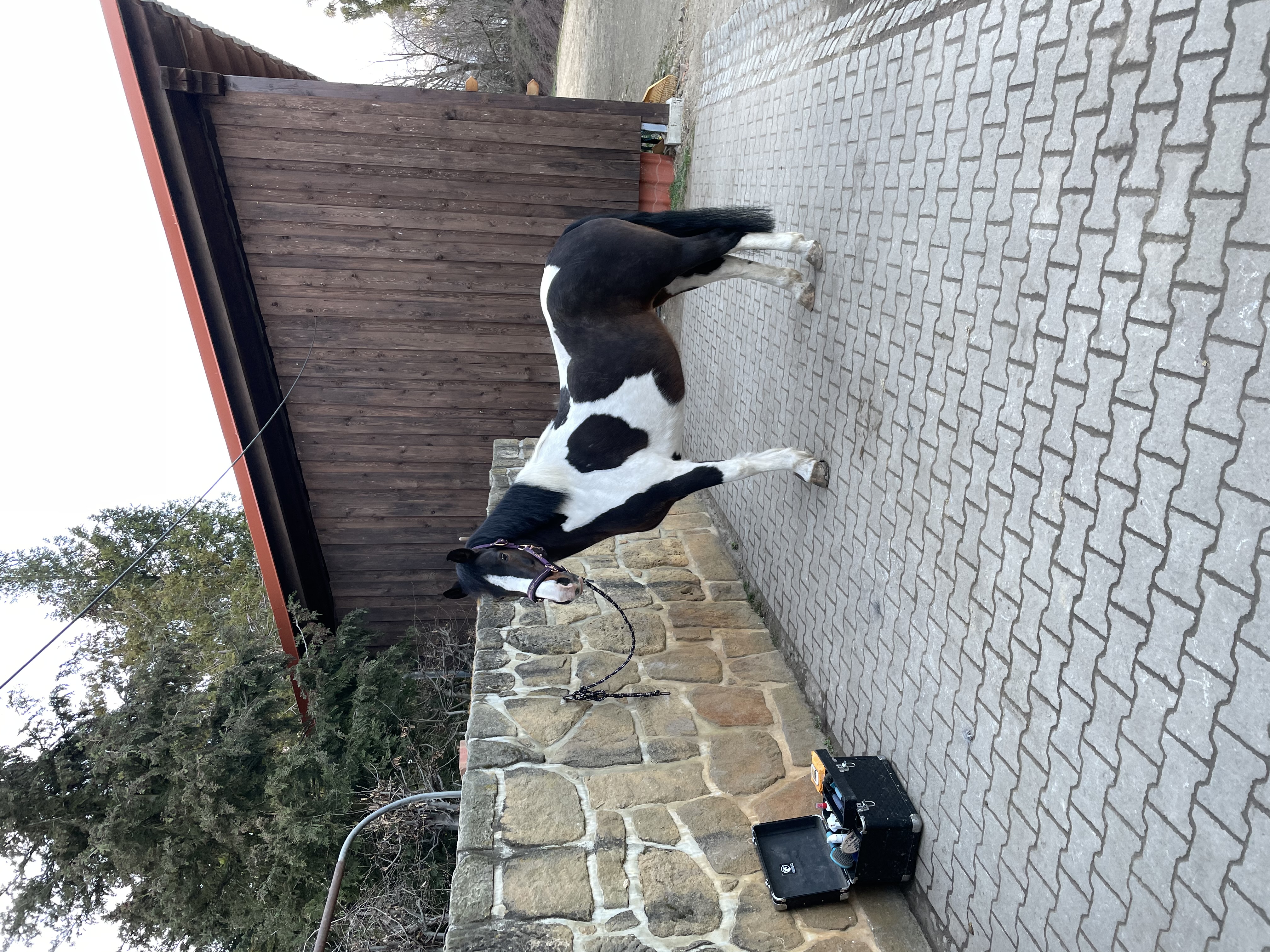 image-7