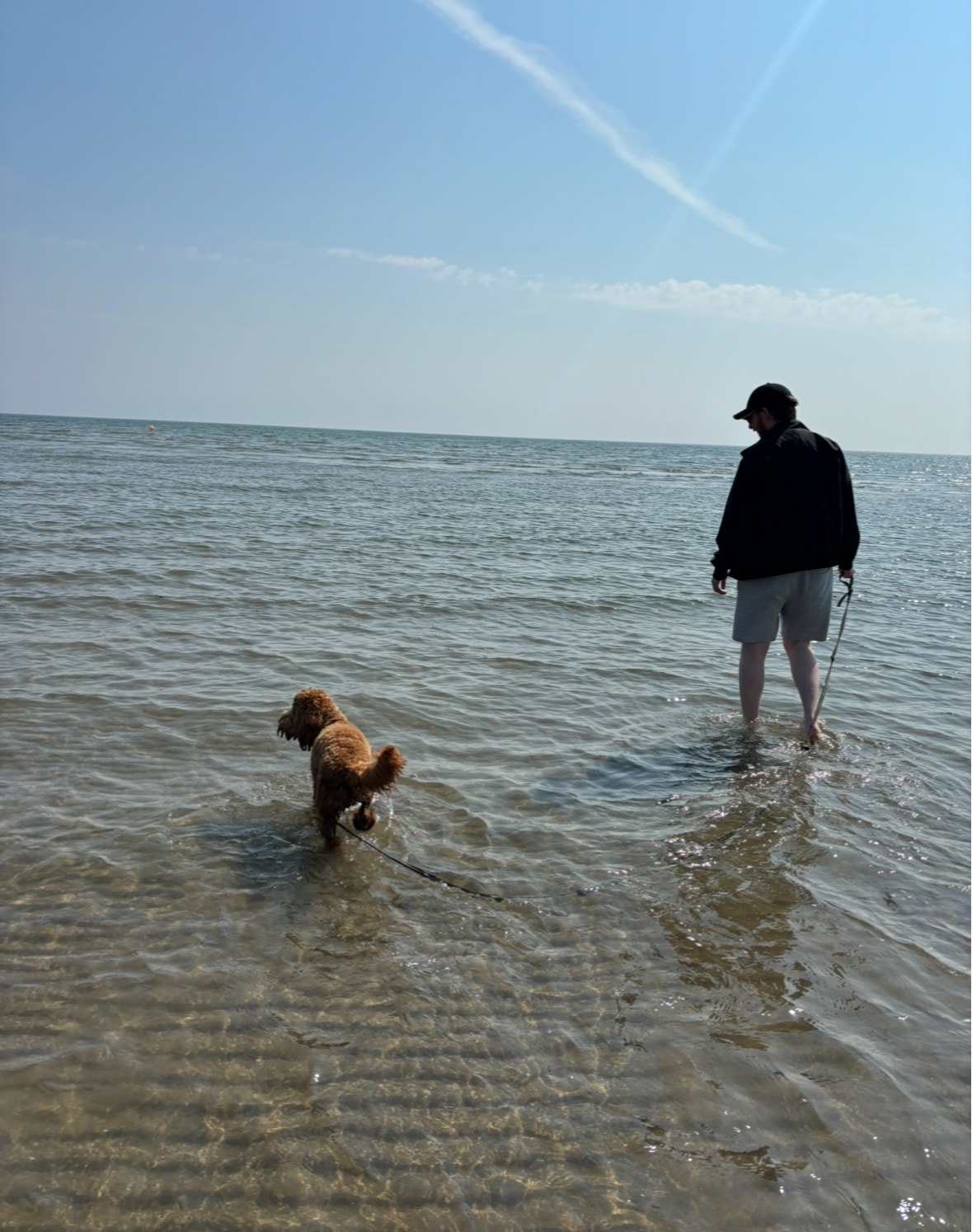 image-7