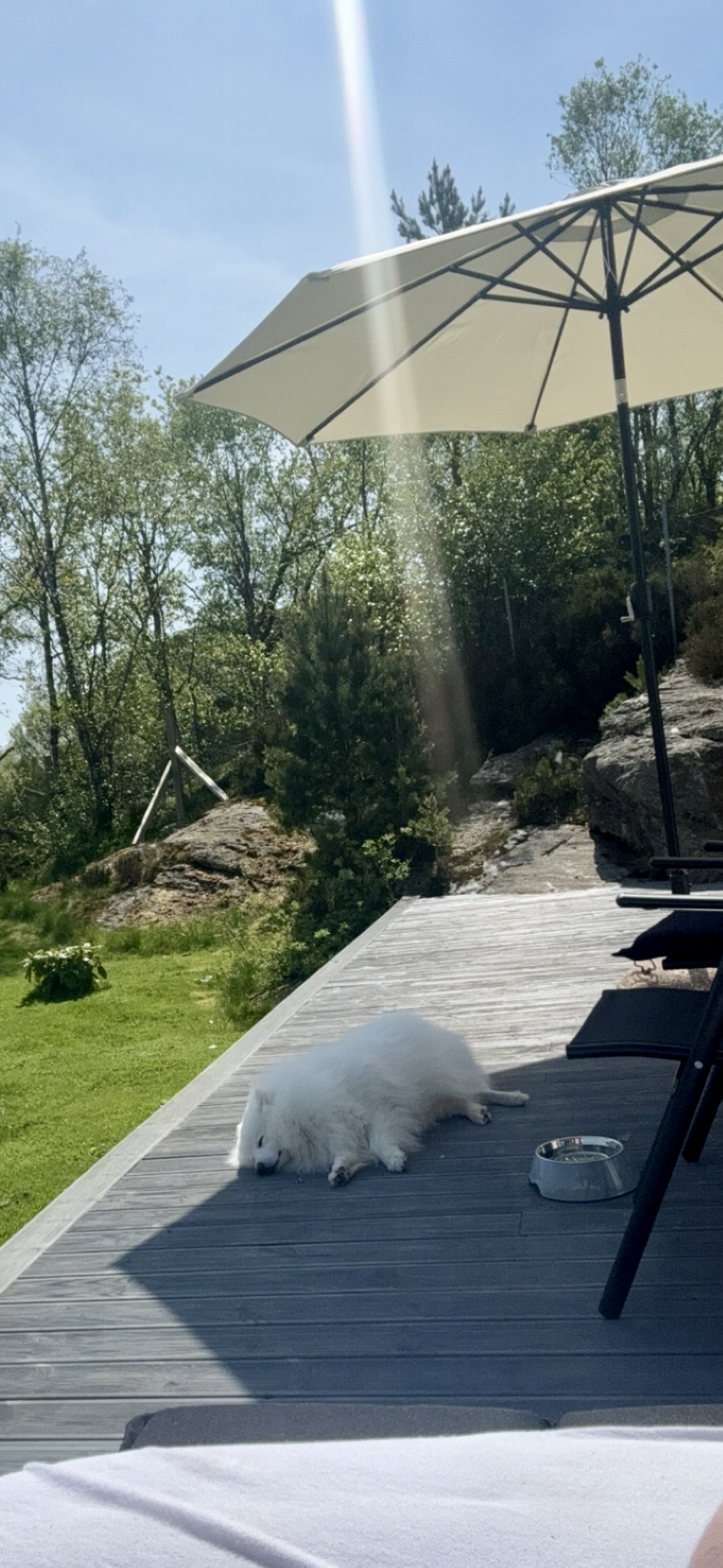 image-7