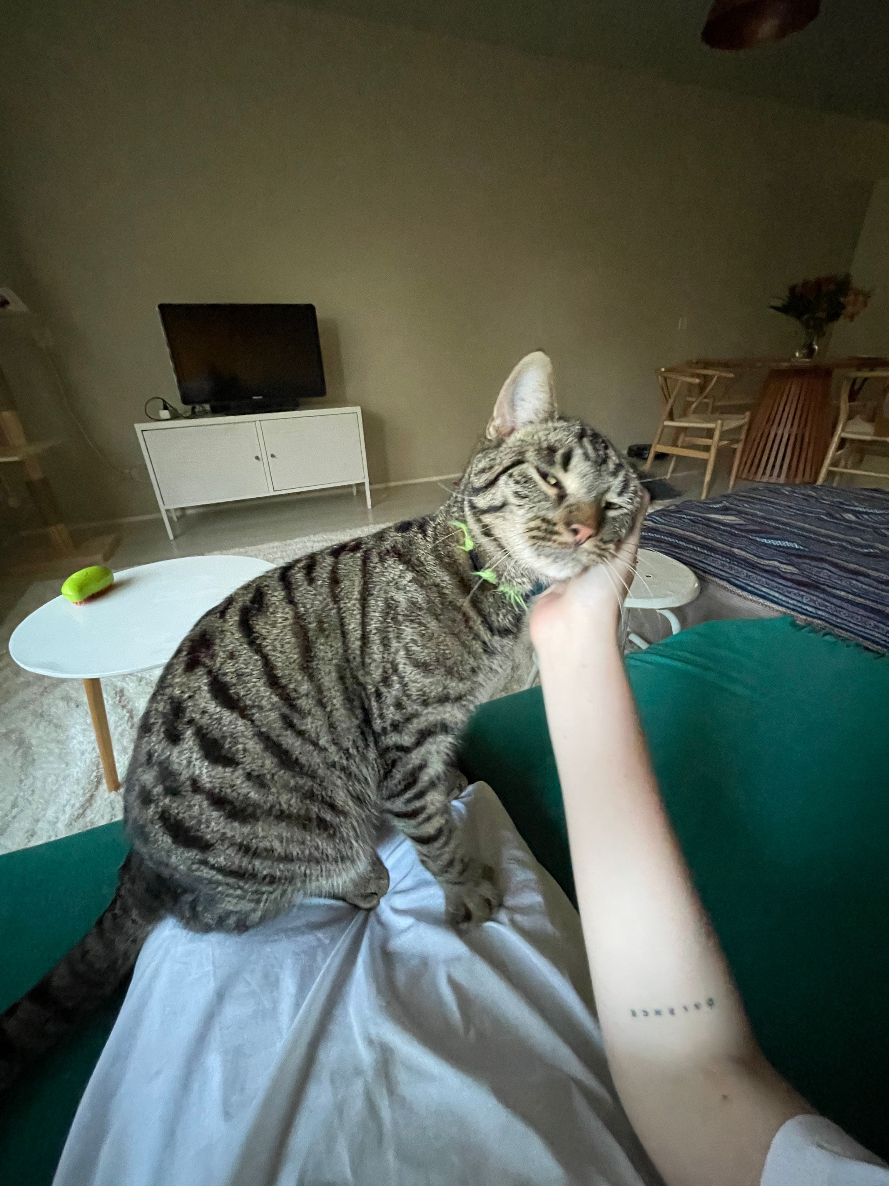 image-7