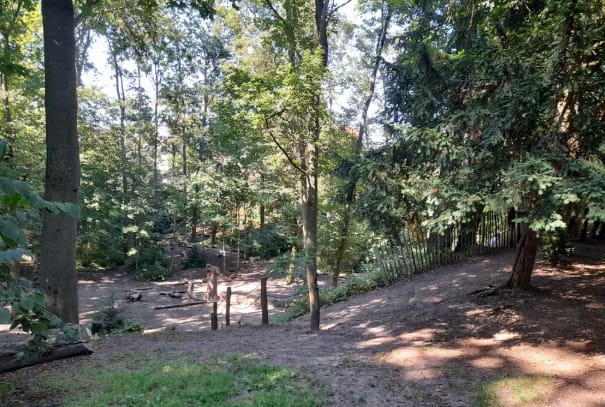 image-16