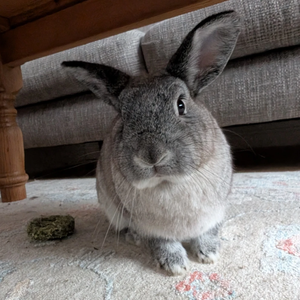Winnie