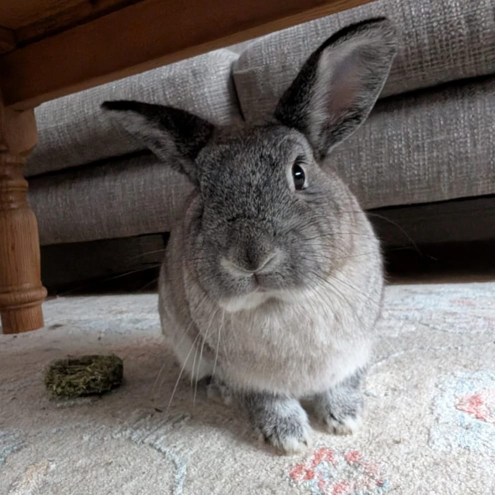 Winnie