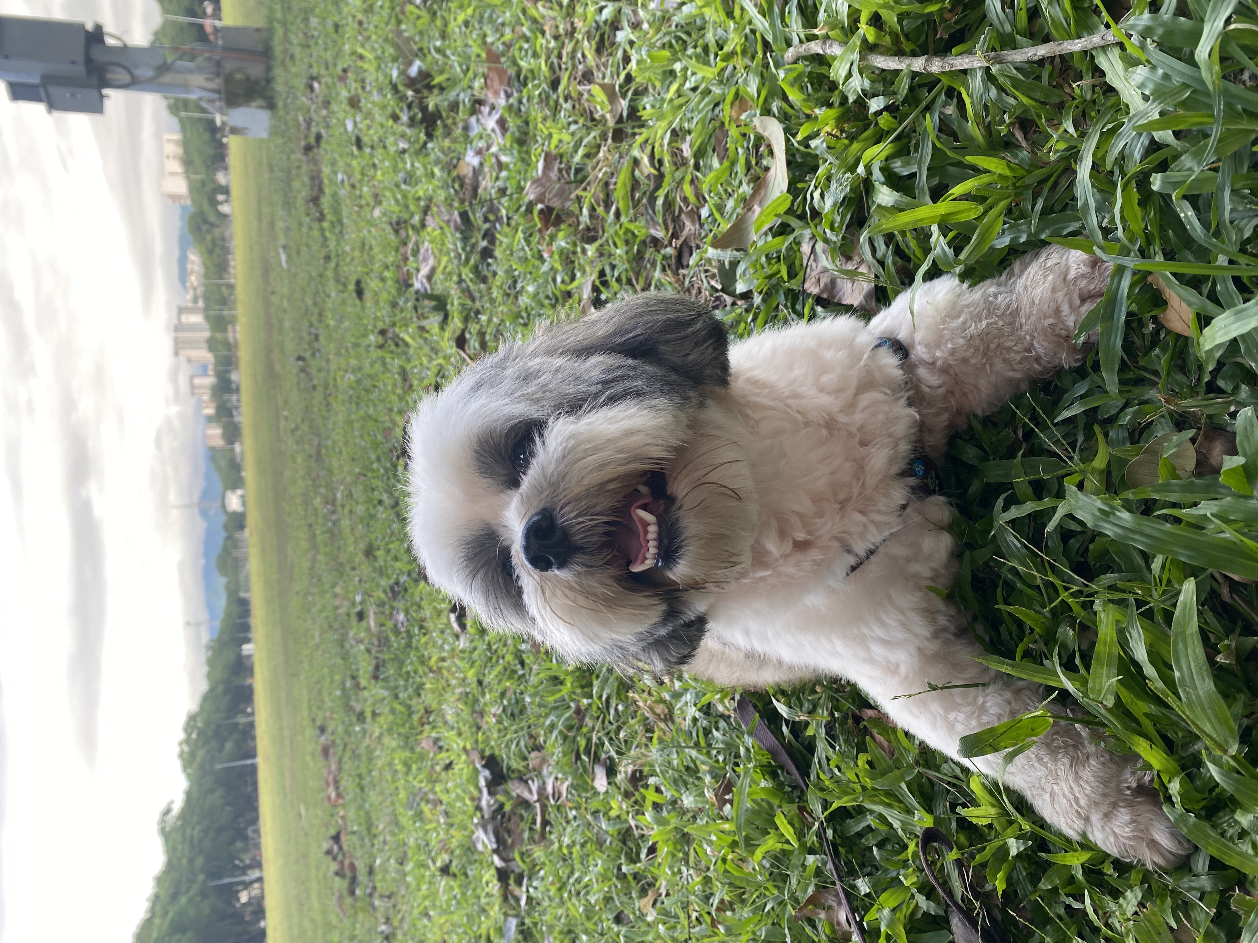 image-3