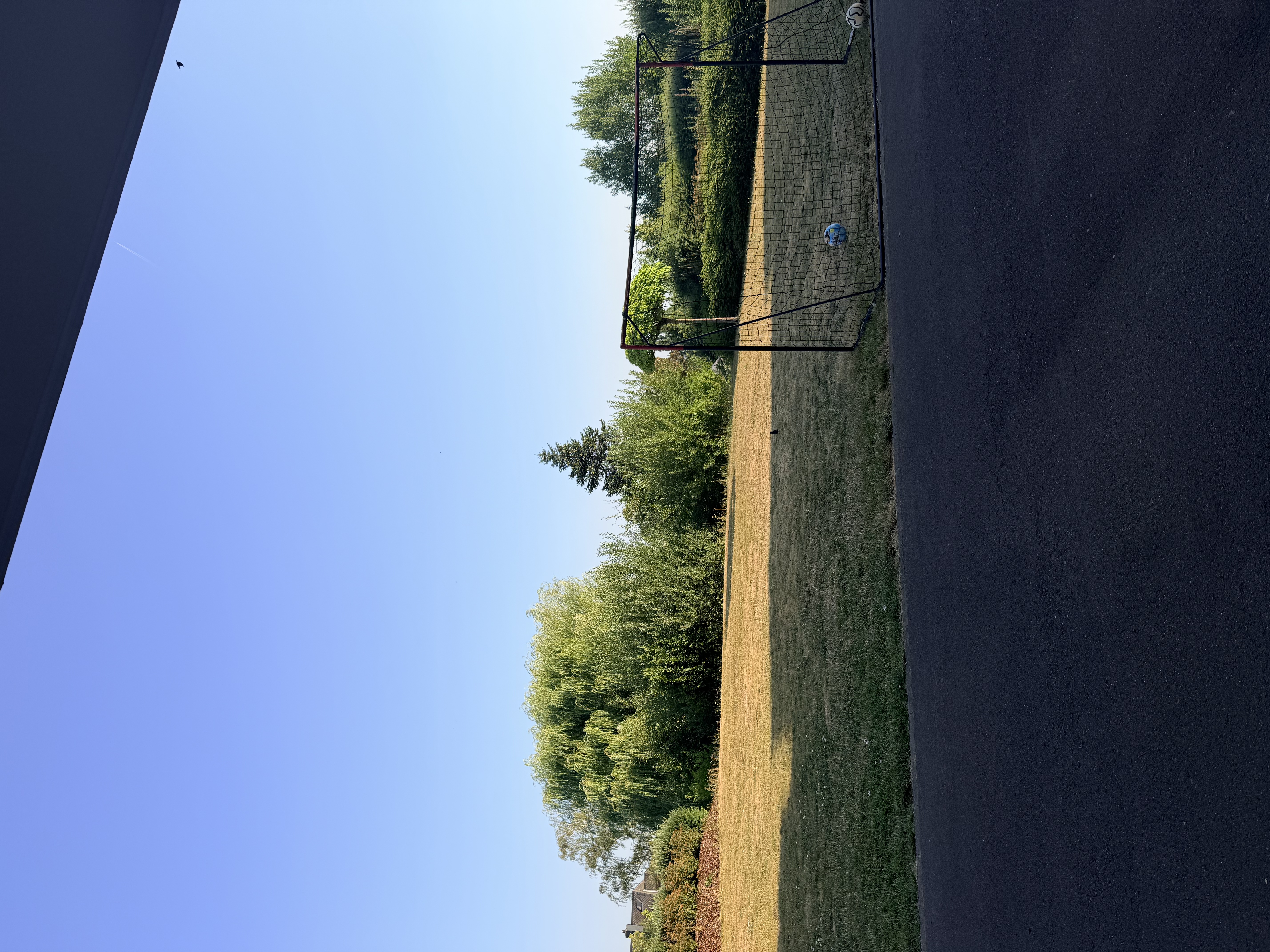 image-17