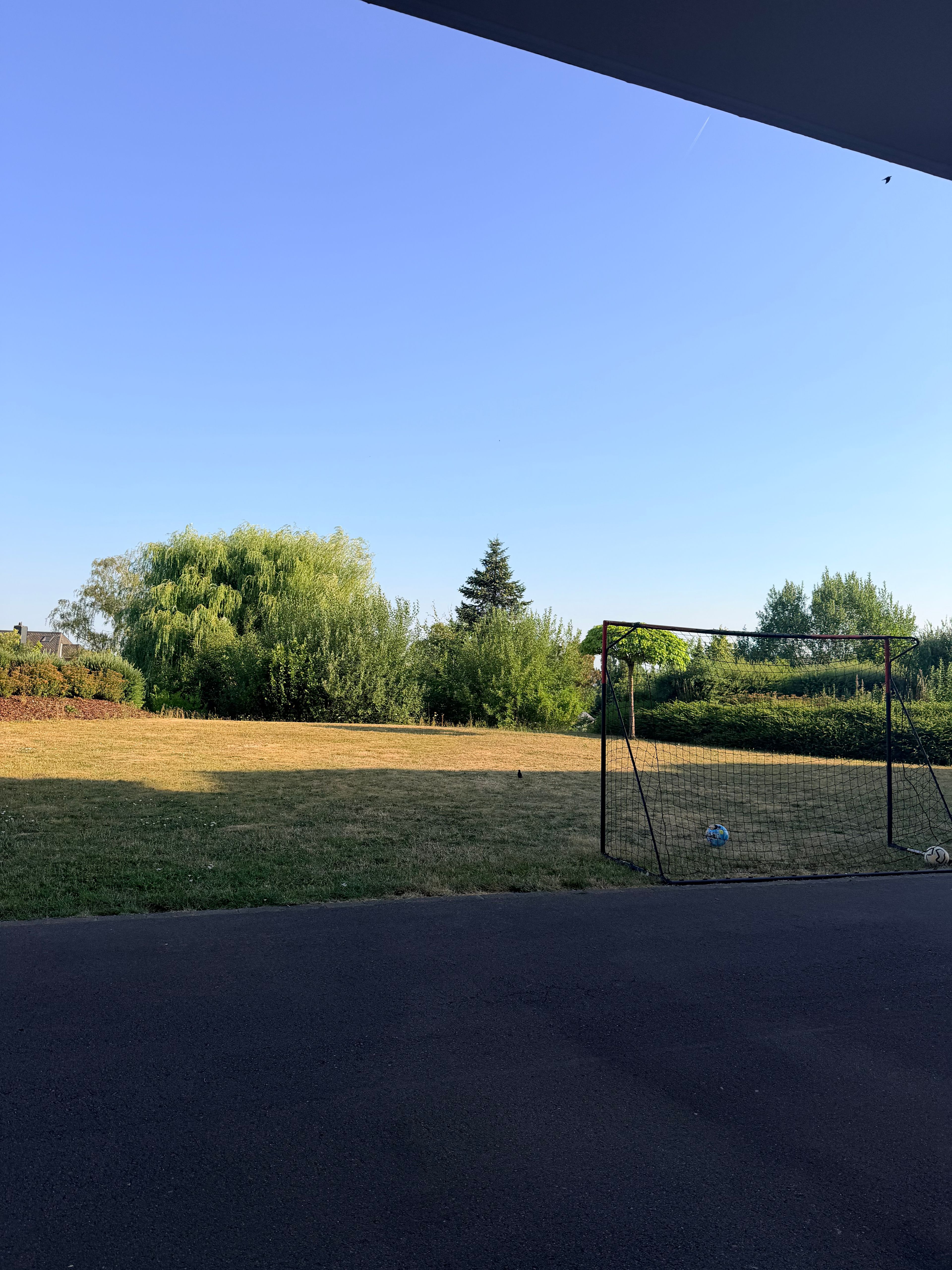 image-17