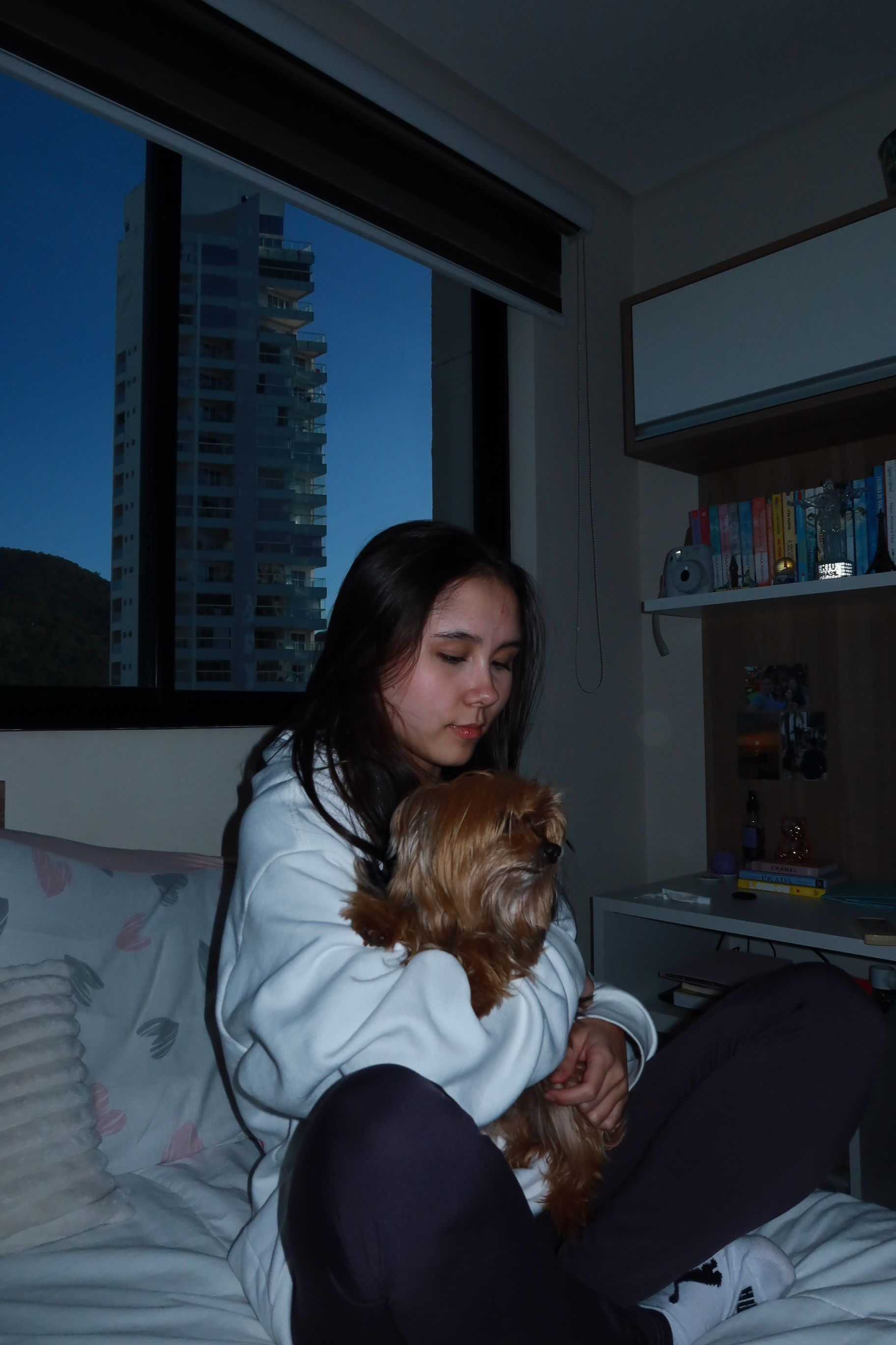 image-6