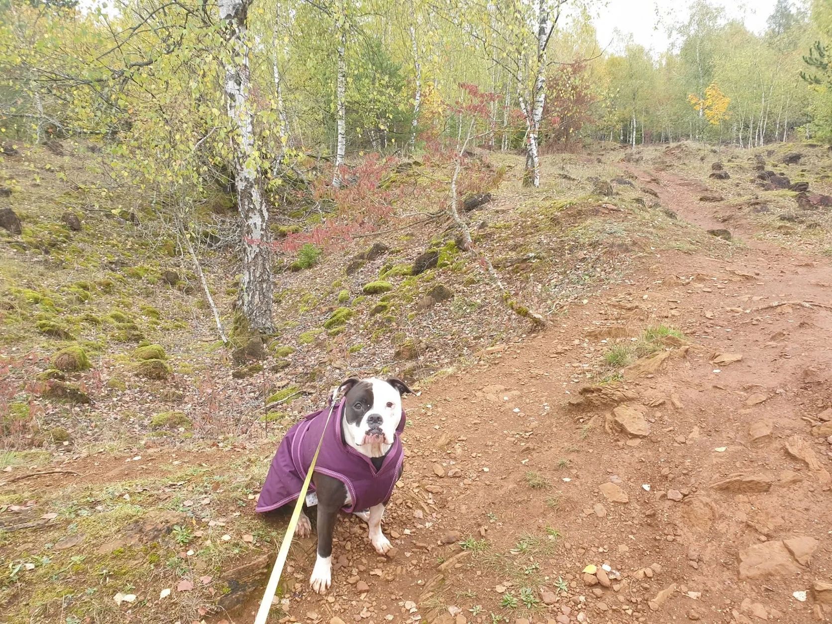 image-6