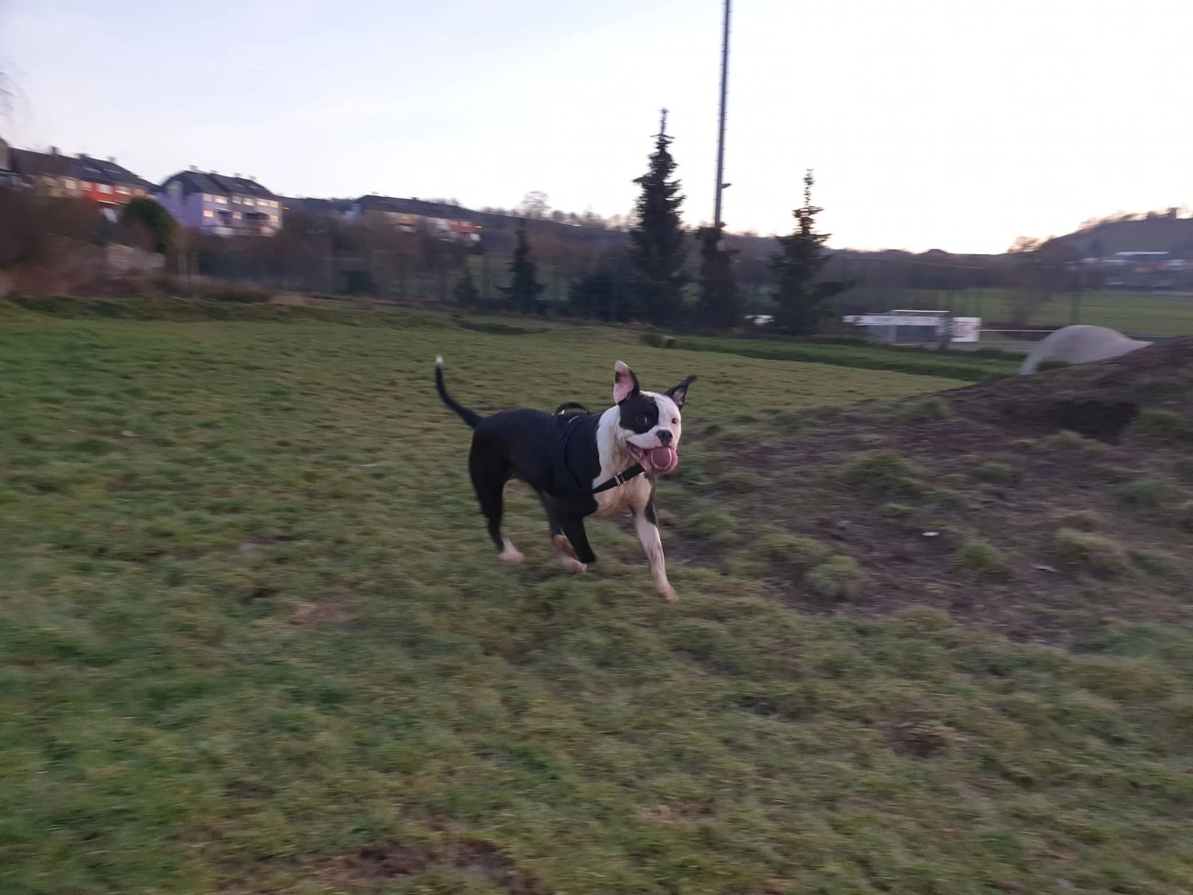 image-8