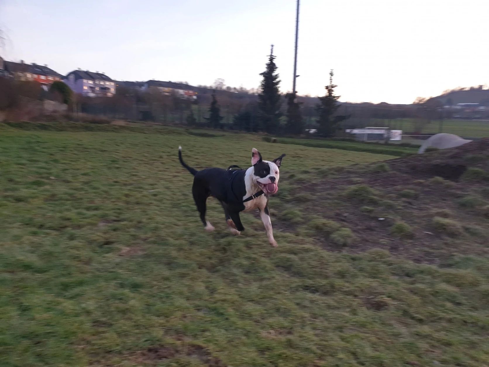 image-8