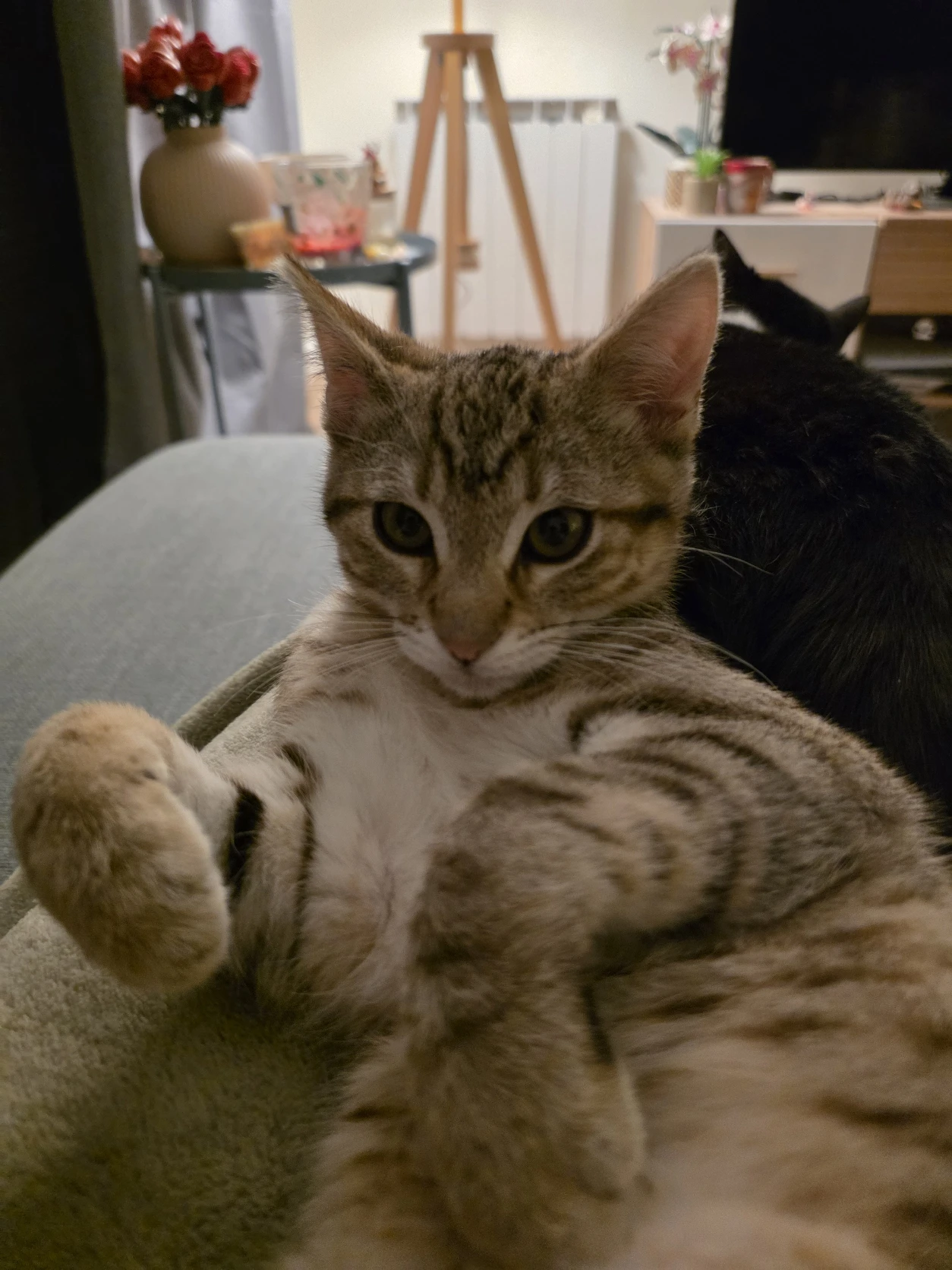 image-8