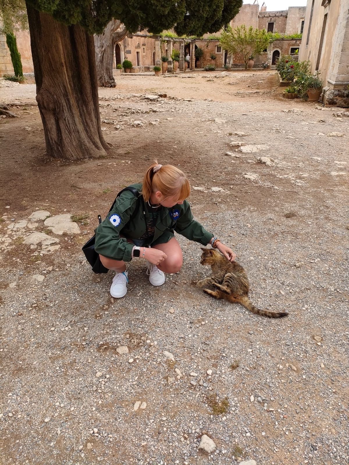image-6